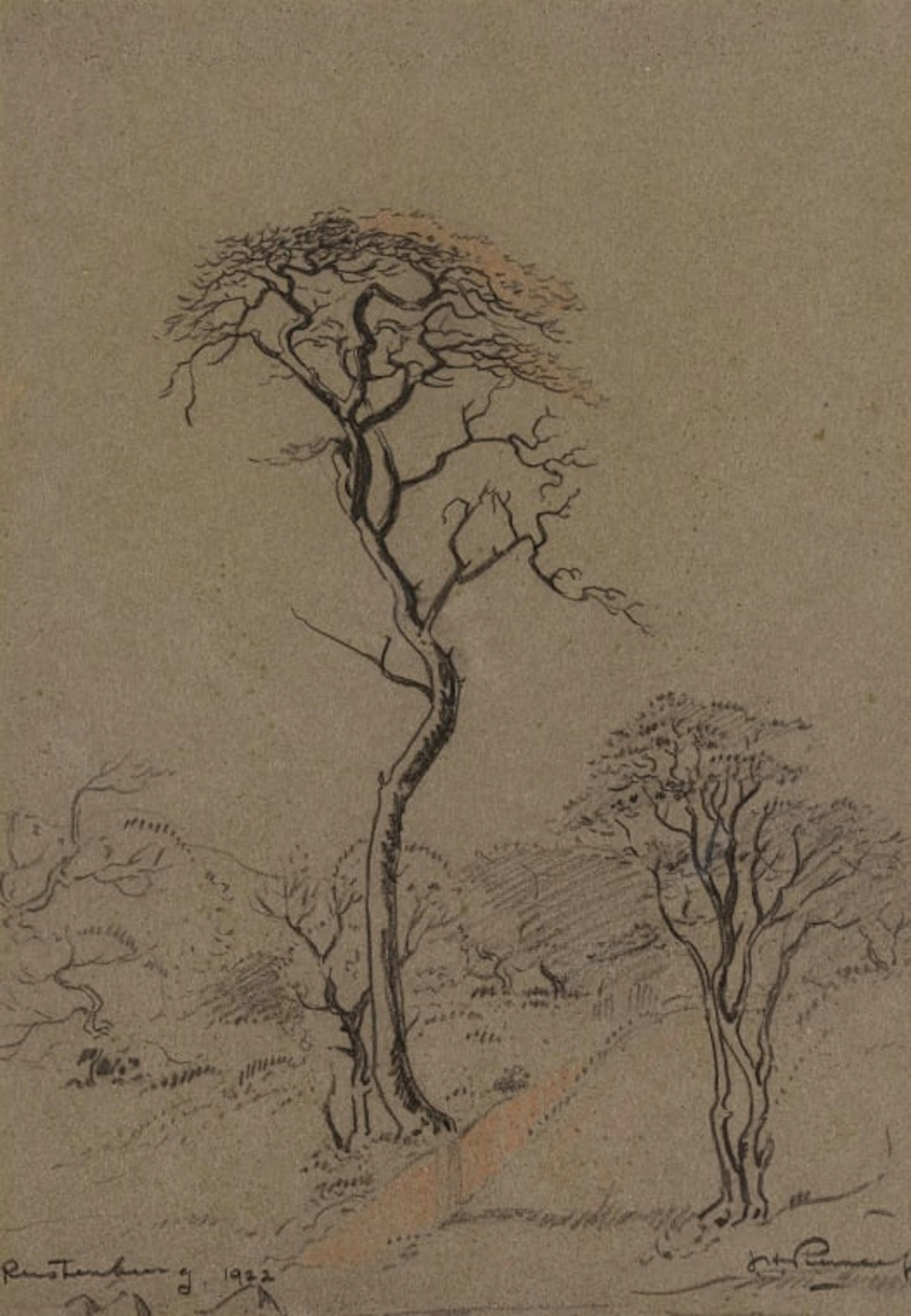 Jacob Hendrik Pierneef; Rustenburg (Acacia Trees)
