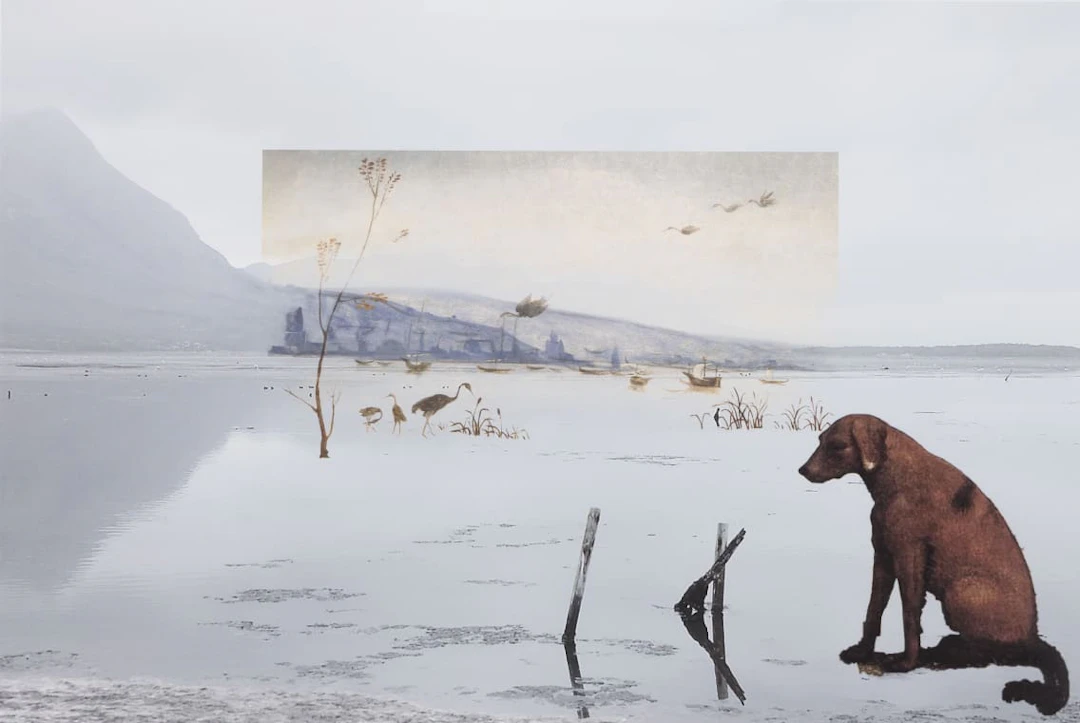 Lien Botha; In Afterland (Piero di Cosimo)