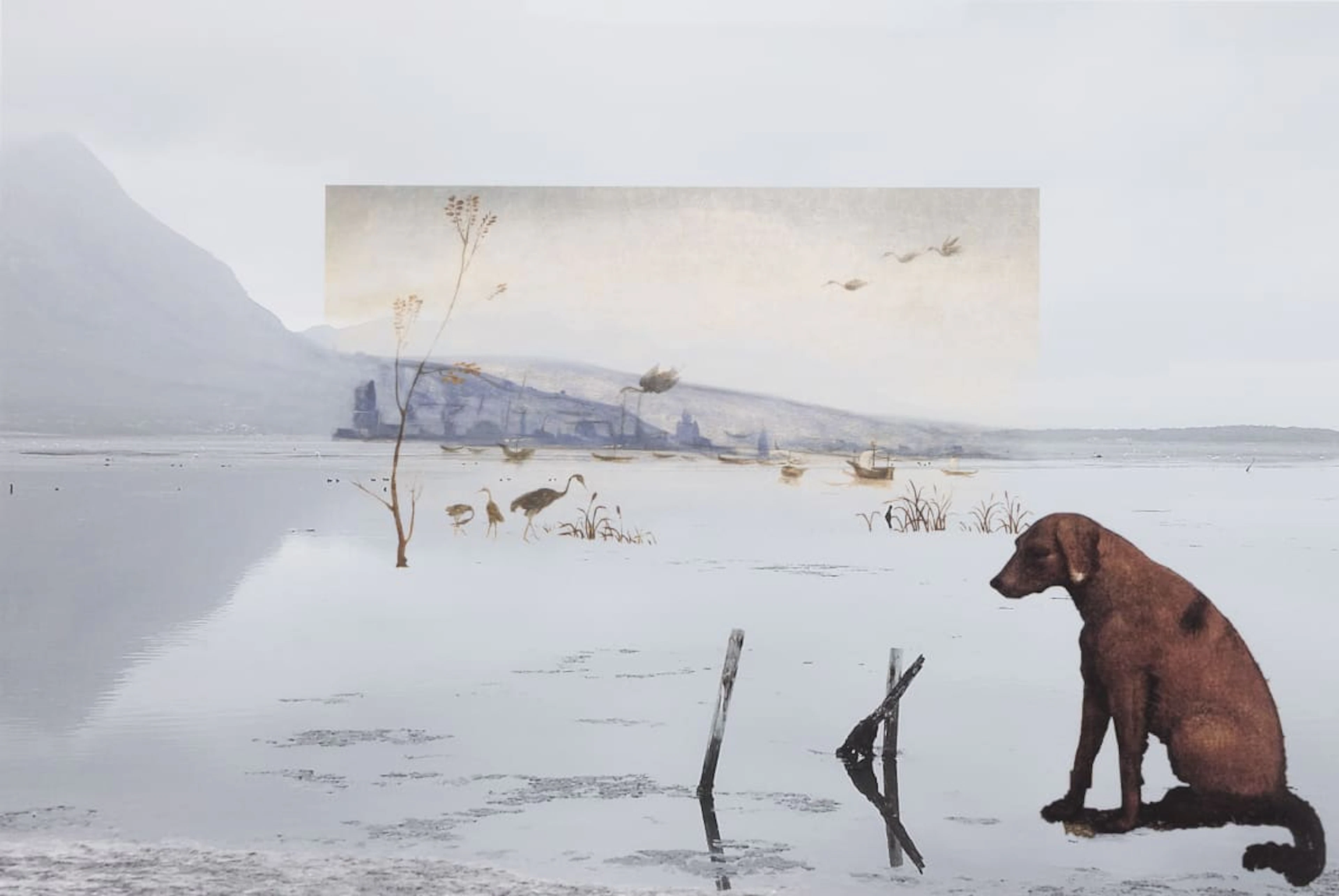 Lien Botha; In Afterland (Piero di Cosimo)