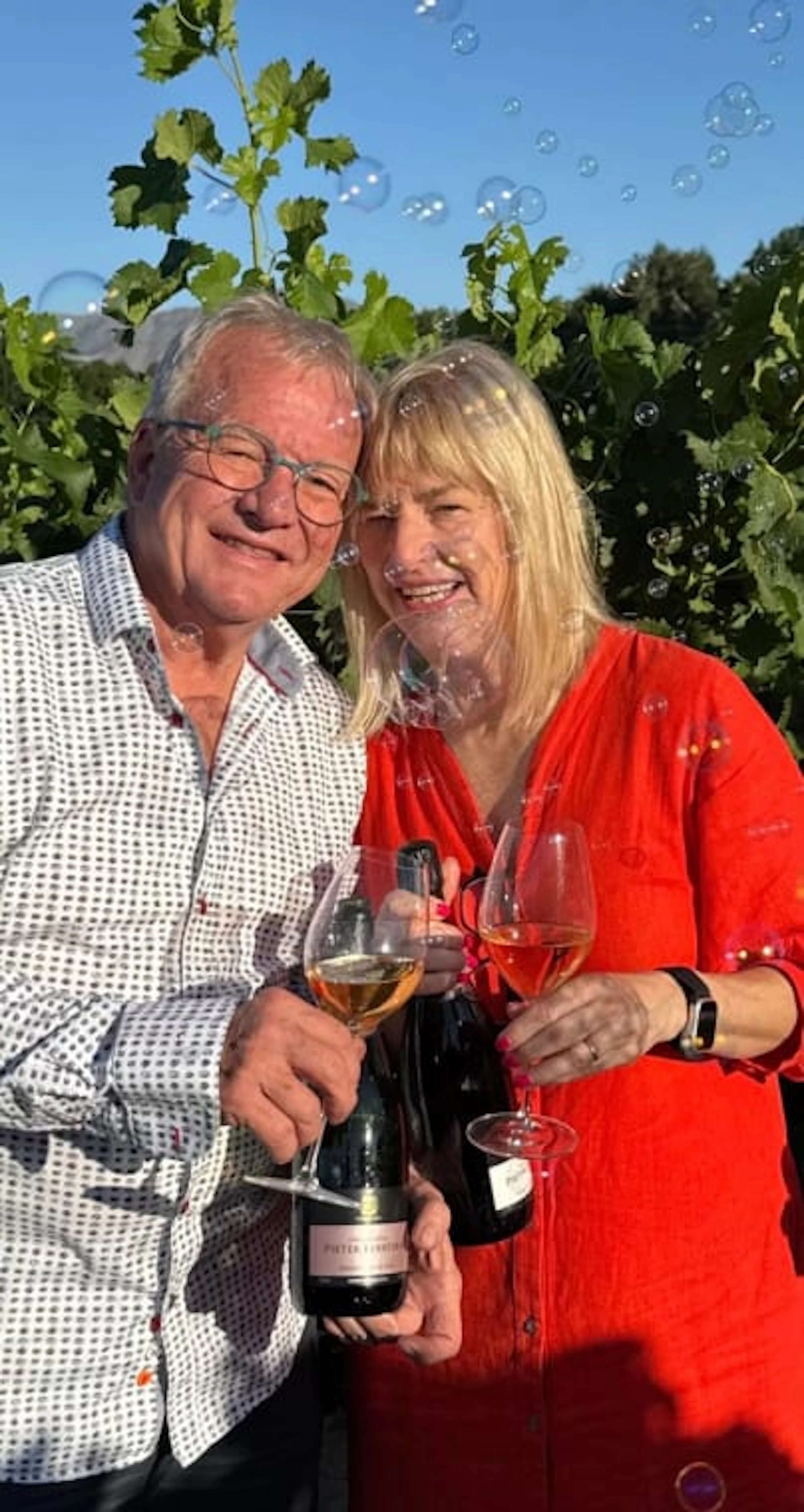 Pieter Ferreira Cap Classique; Blanc de Noirs Pinot Noir; 2019; 12