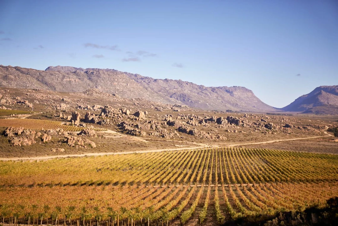 Cederberg; Black Slate Shiraz; 2024; 12 (2 x 6); 750ml