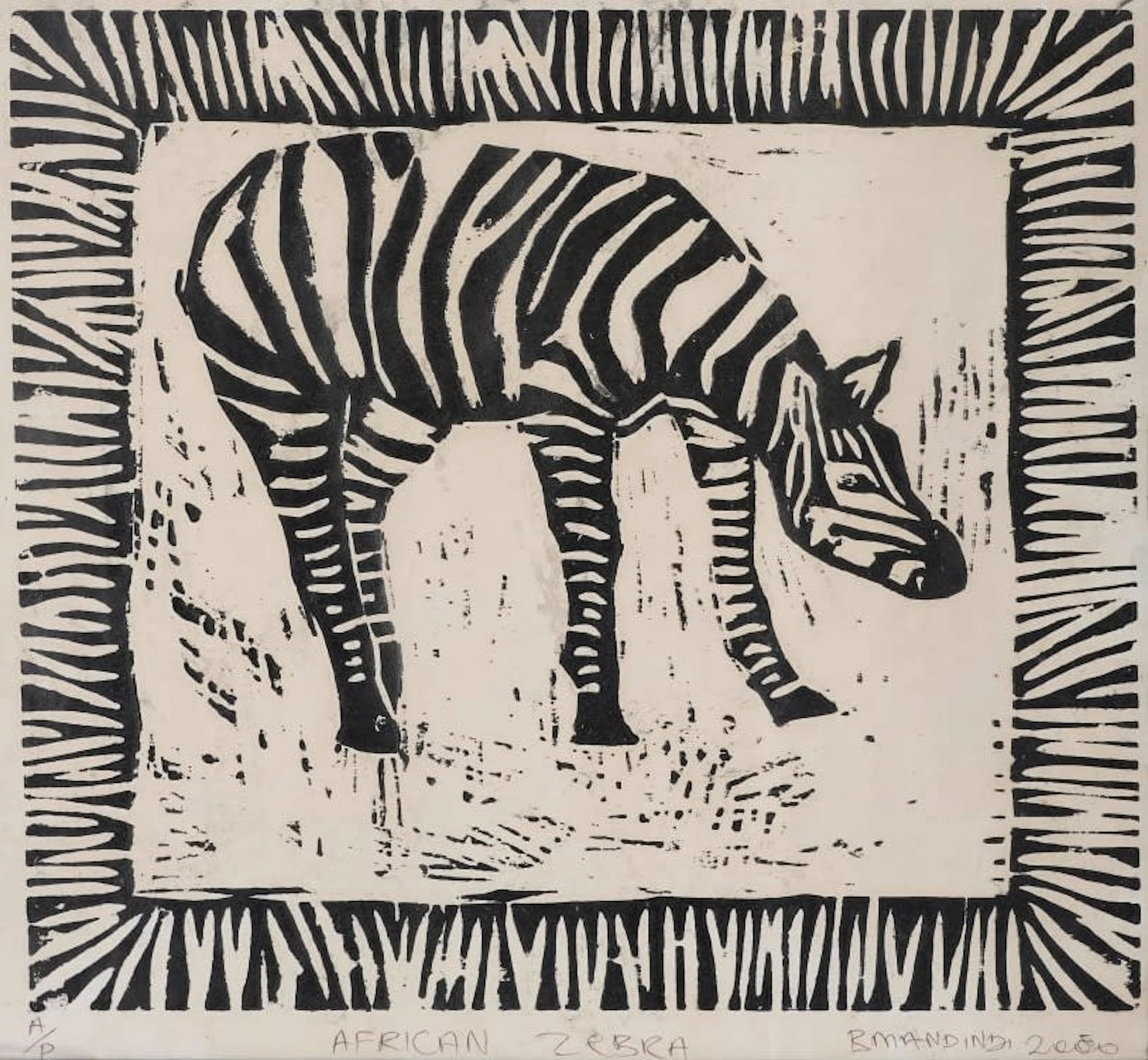 Billy Mandindi; African Zebra