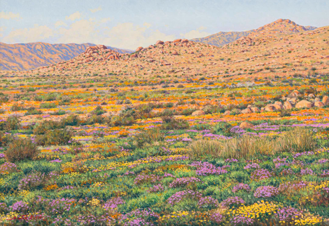 Martin Koch; Namaqualand Scene
