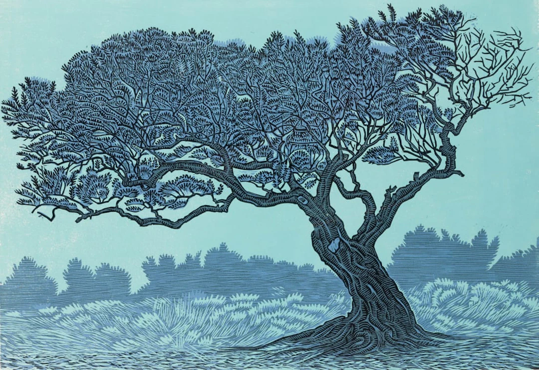 Conrad Botes; Olyfboom (Olive Tree)