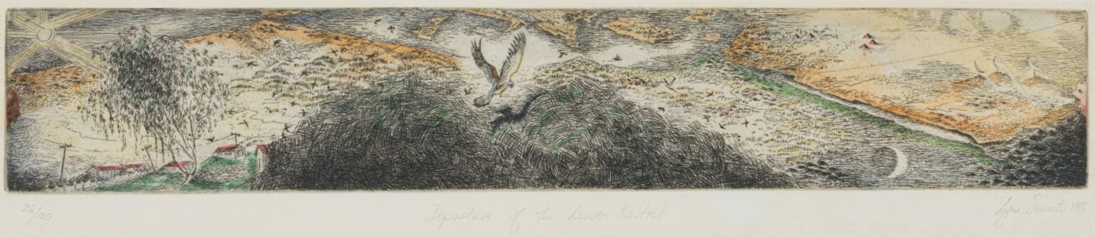 Lyn Smuts; Departure of the Lesser Kestrel