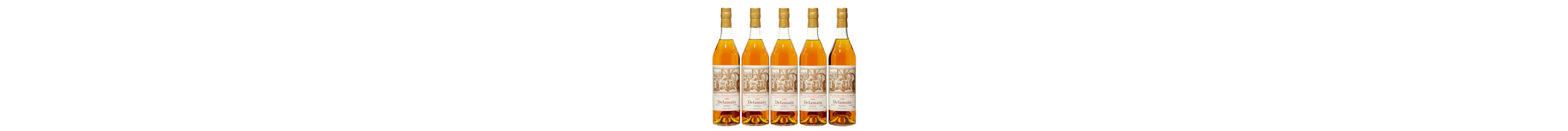 Delamain; Grande Champagne Cognac; 1999; 5 (1 x 5); 750ml
