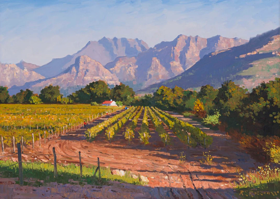 Roelof Rossouw; Vineyard near Franschhoek