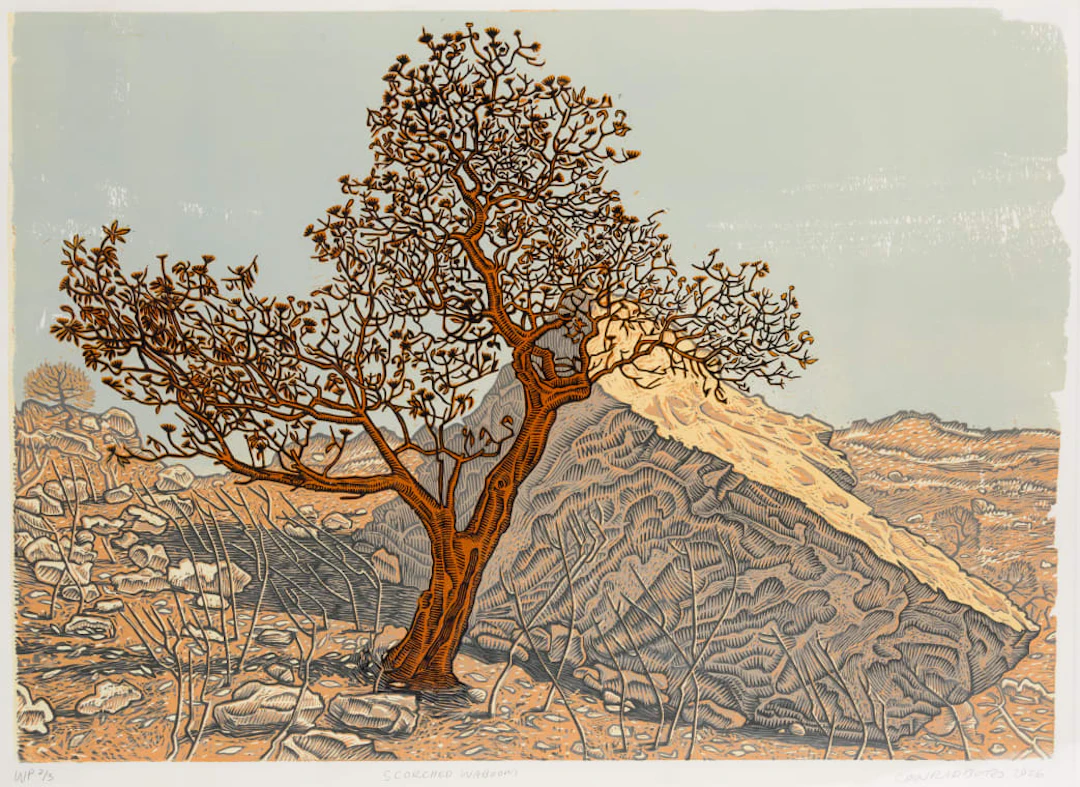 Conrad Botes; Scourced Waboom