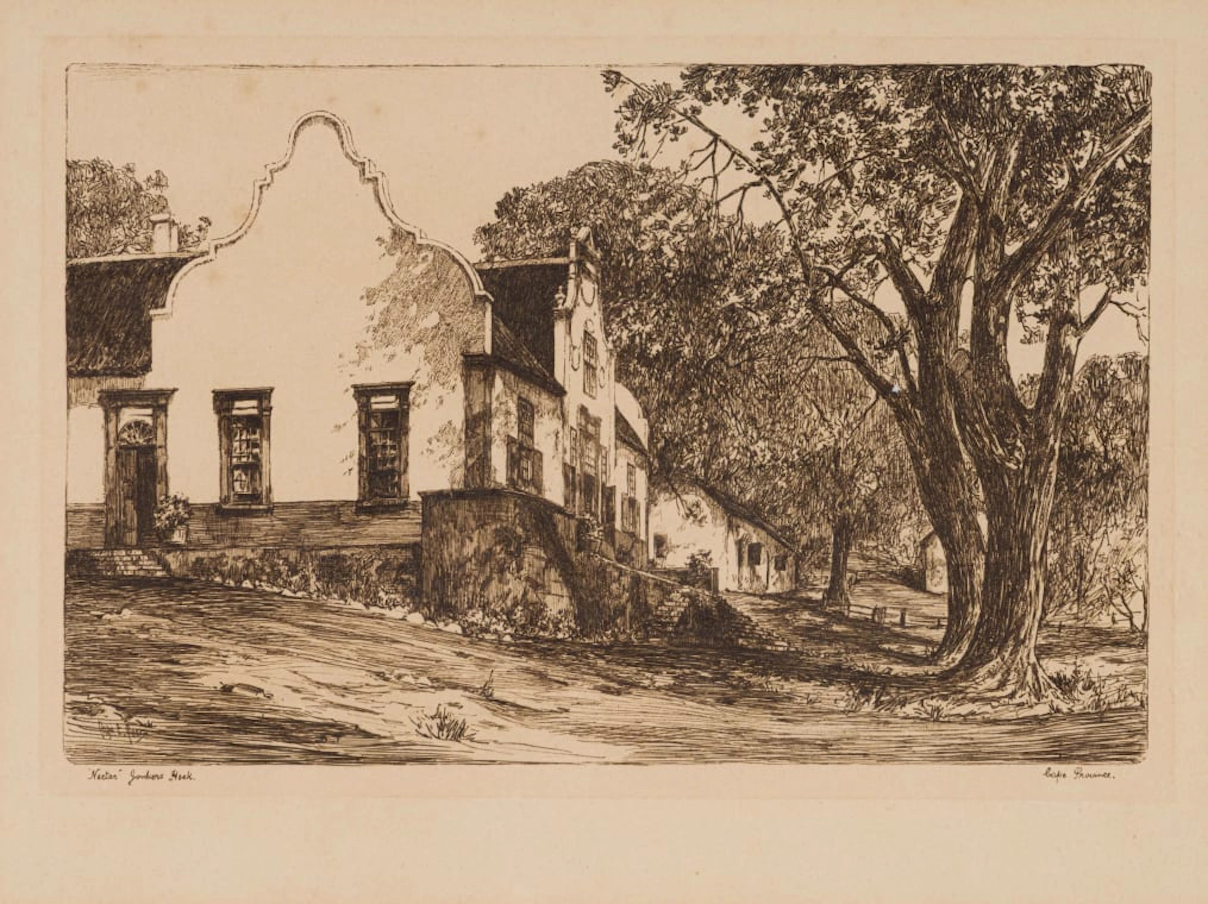 Charles Ernest Peers; 'Nectar' Jonkers Hoek, Cape Province