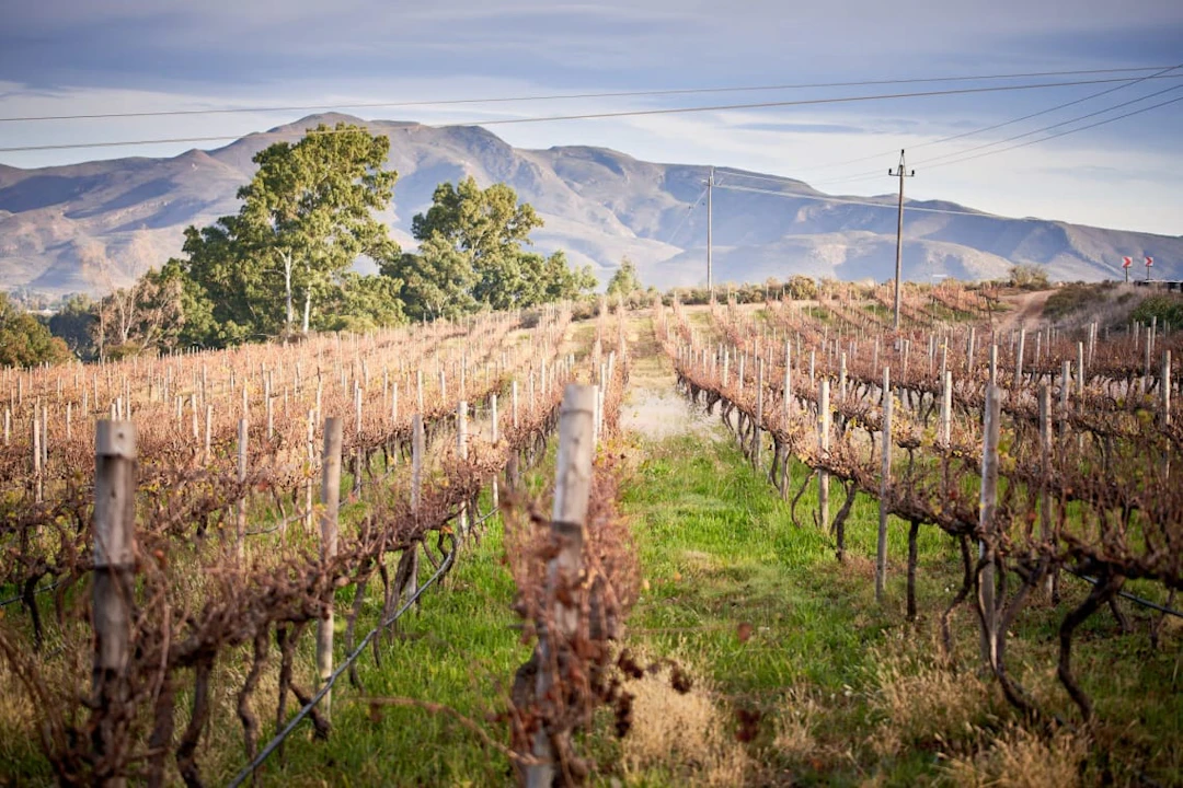 Silverthorn Wines; Crazy Diamond Brut Nature Cap Classique; 2021;