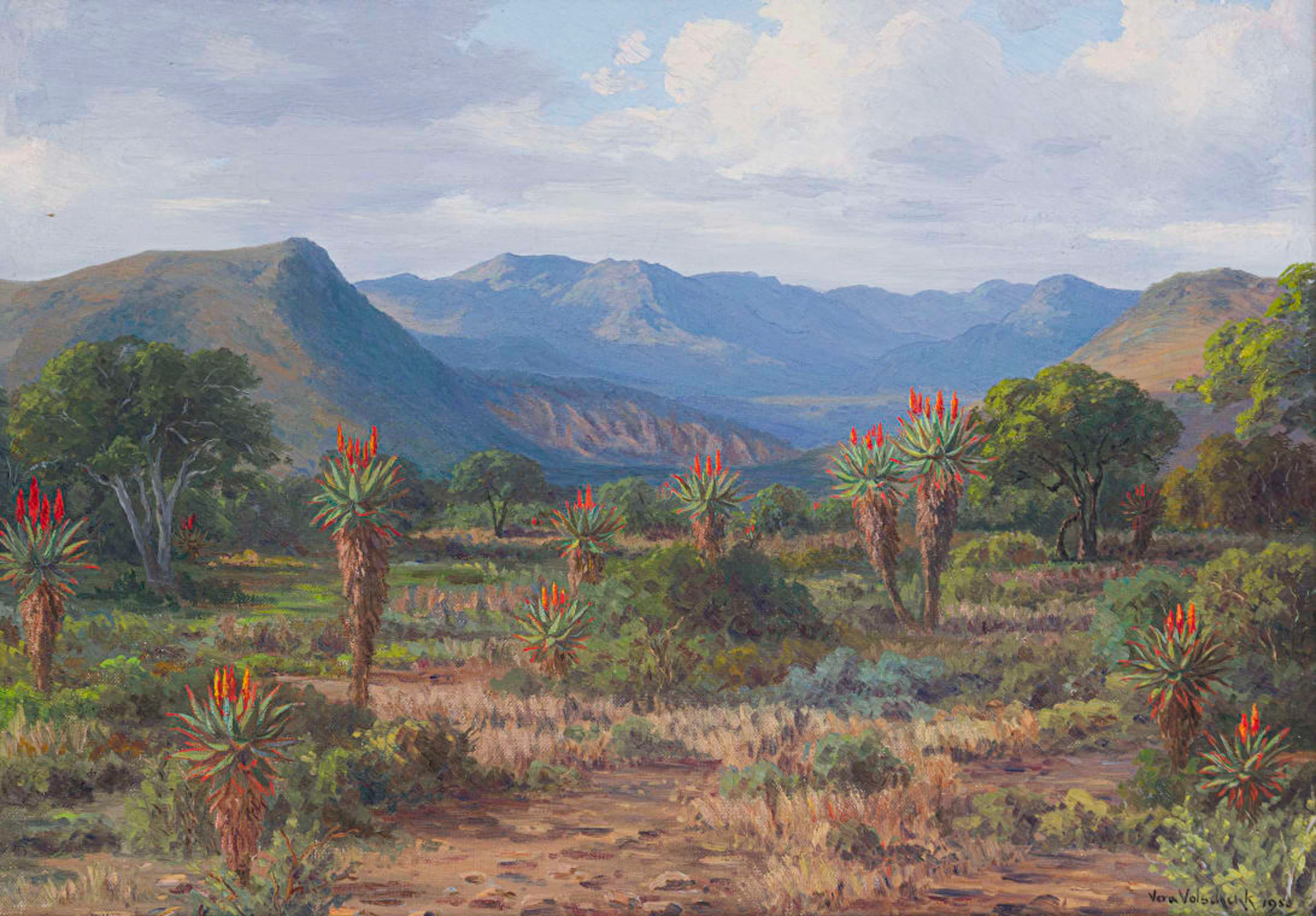Vera Volschenk; Aloes - near Cookhouse, Alwyne - naby Cookhouse
