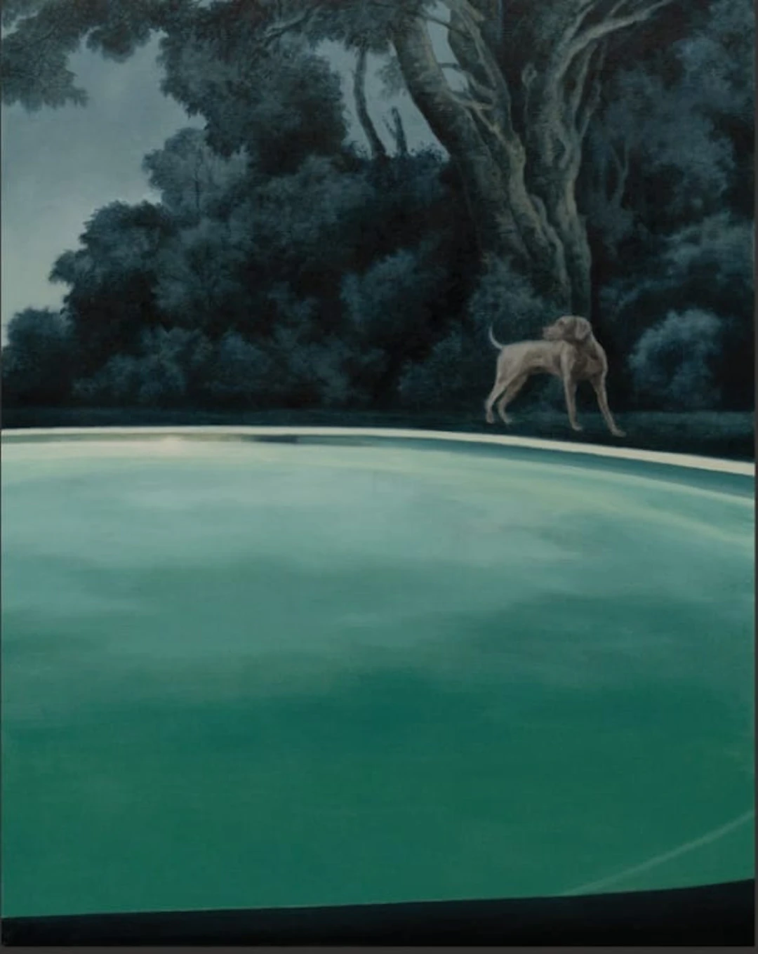 Andrew Kayser; The Stranger