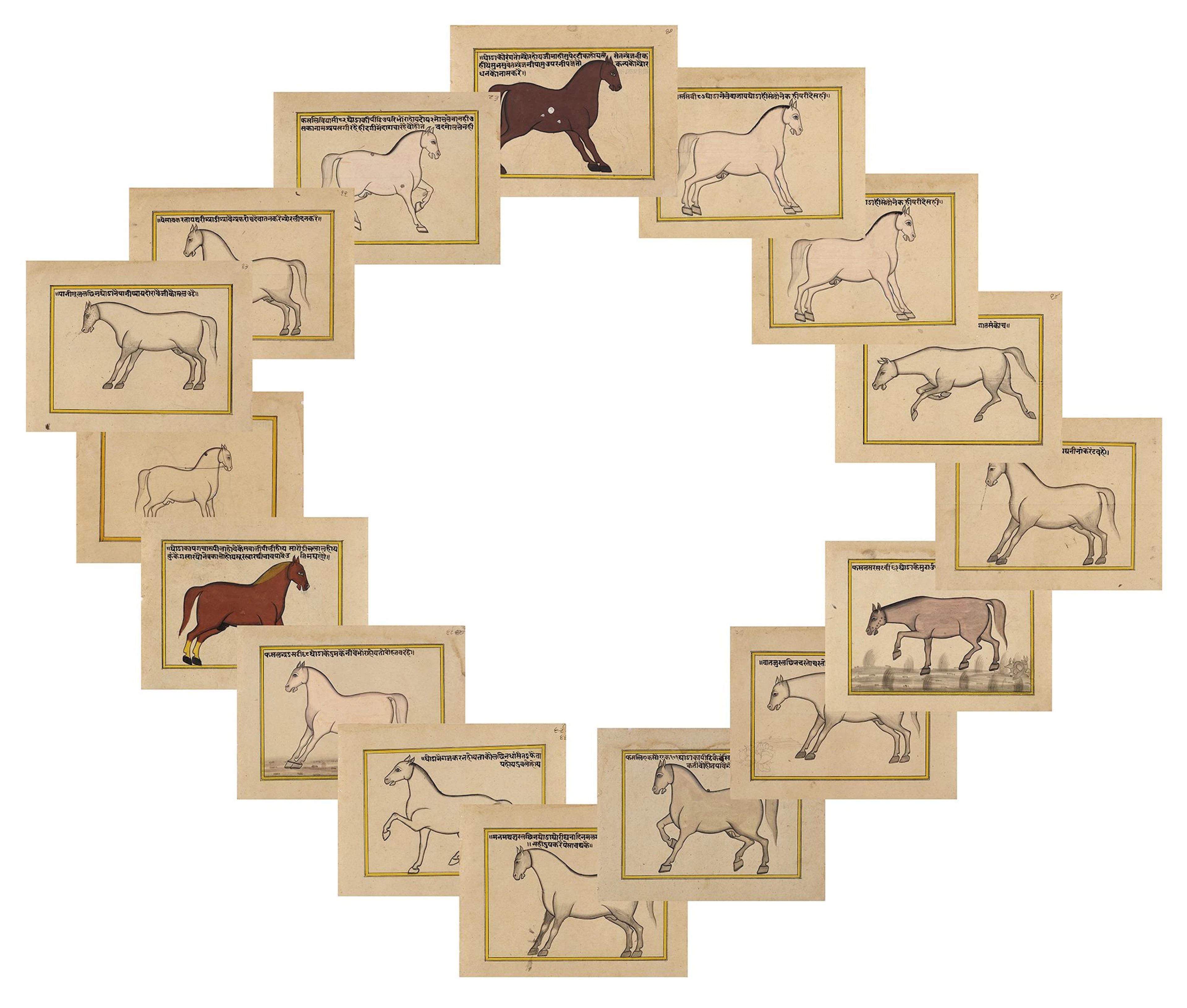 FIFTEEN ILLUSTRATED LEAVES FROM A MANUSCRIPT ON HORSES, INDIA, RAJASTHAN