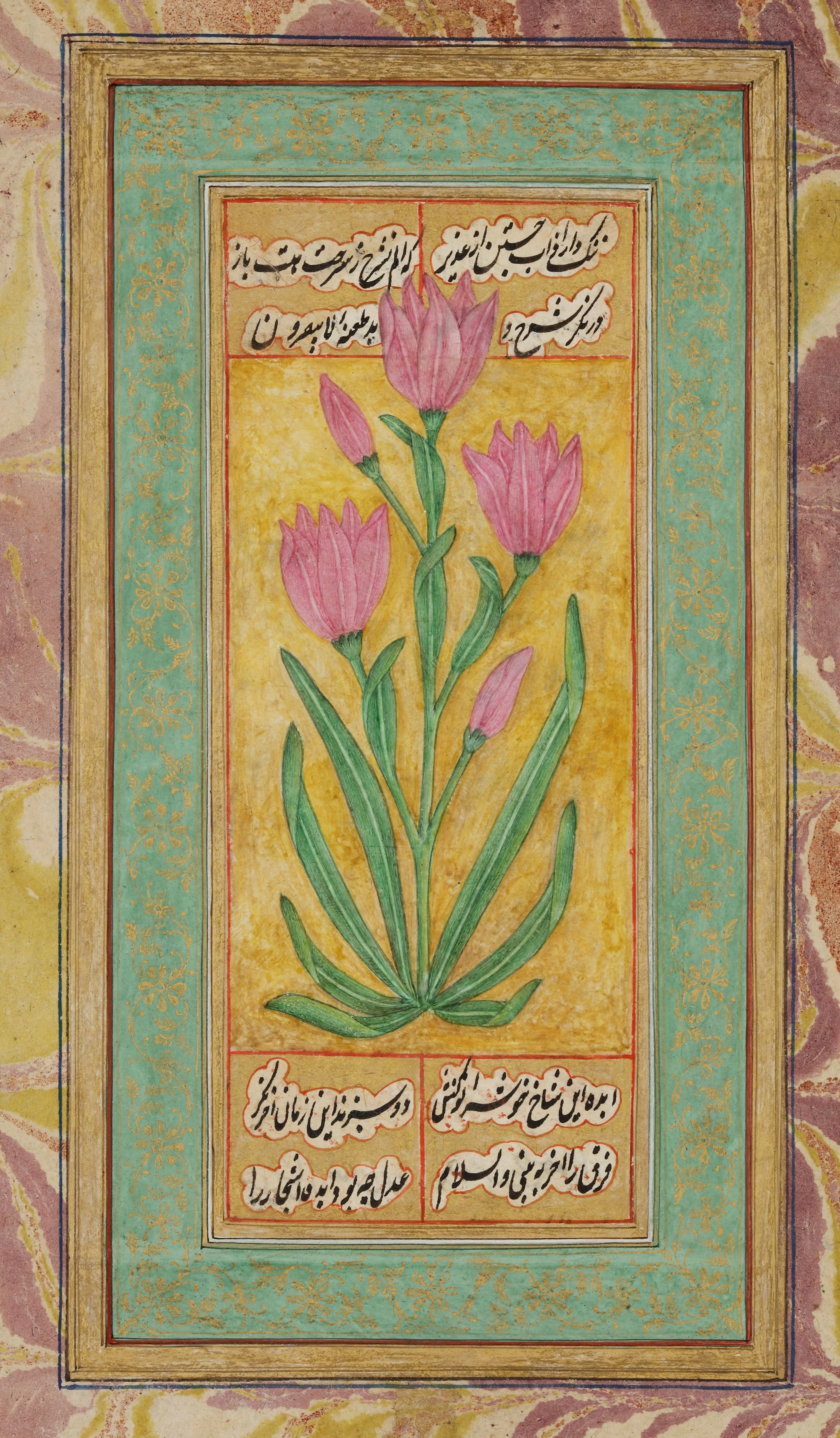 A PAINTING OF A FLOWER WITH A MARBALISED BORDER INDIA, DECCAN, 18TH CENTURY