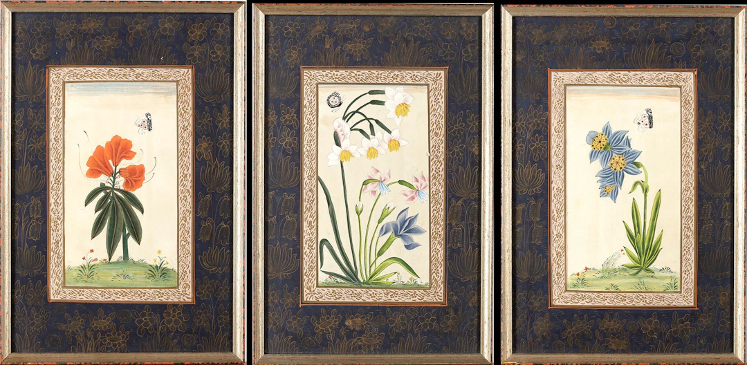 THREE INDIAN BOTANICAL PAINTINGS WITH BUTTERFLIES
