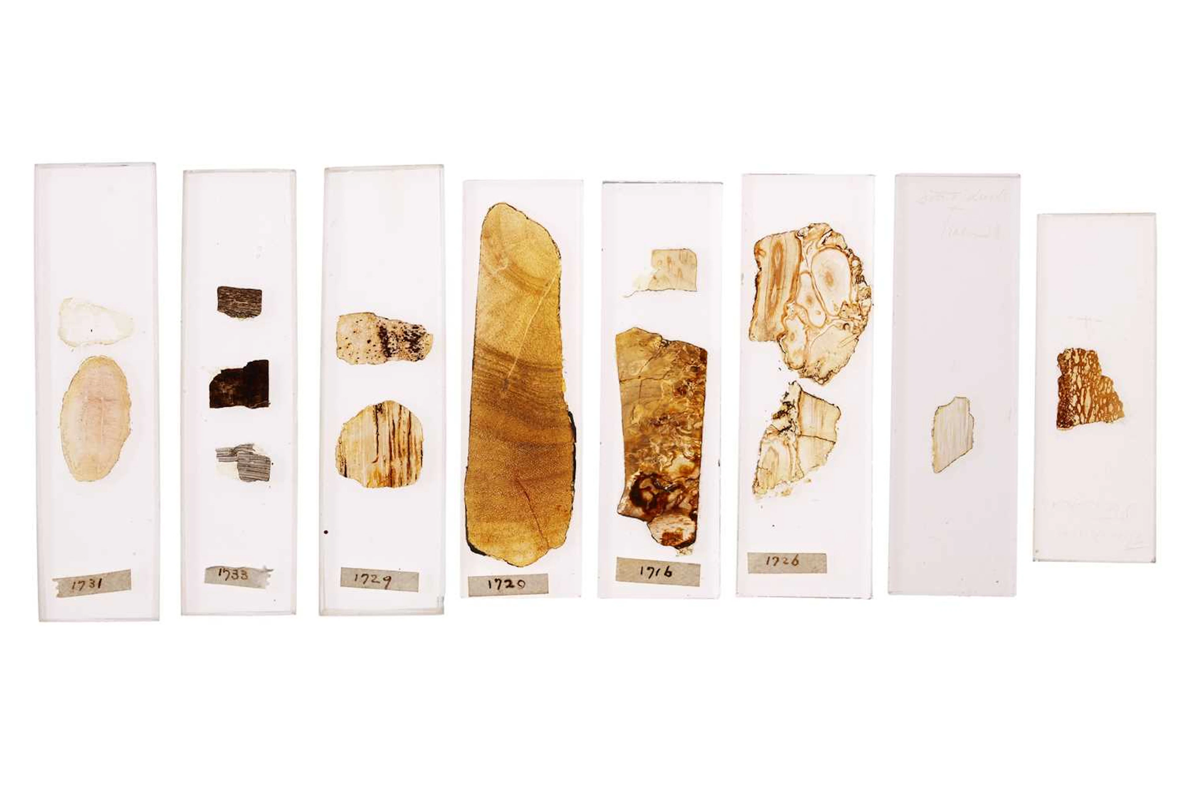 Important & Early Uncovered Geological Microscope Specimen Slides
