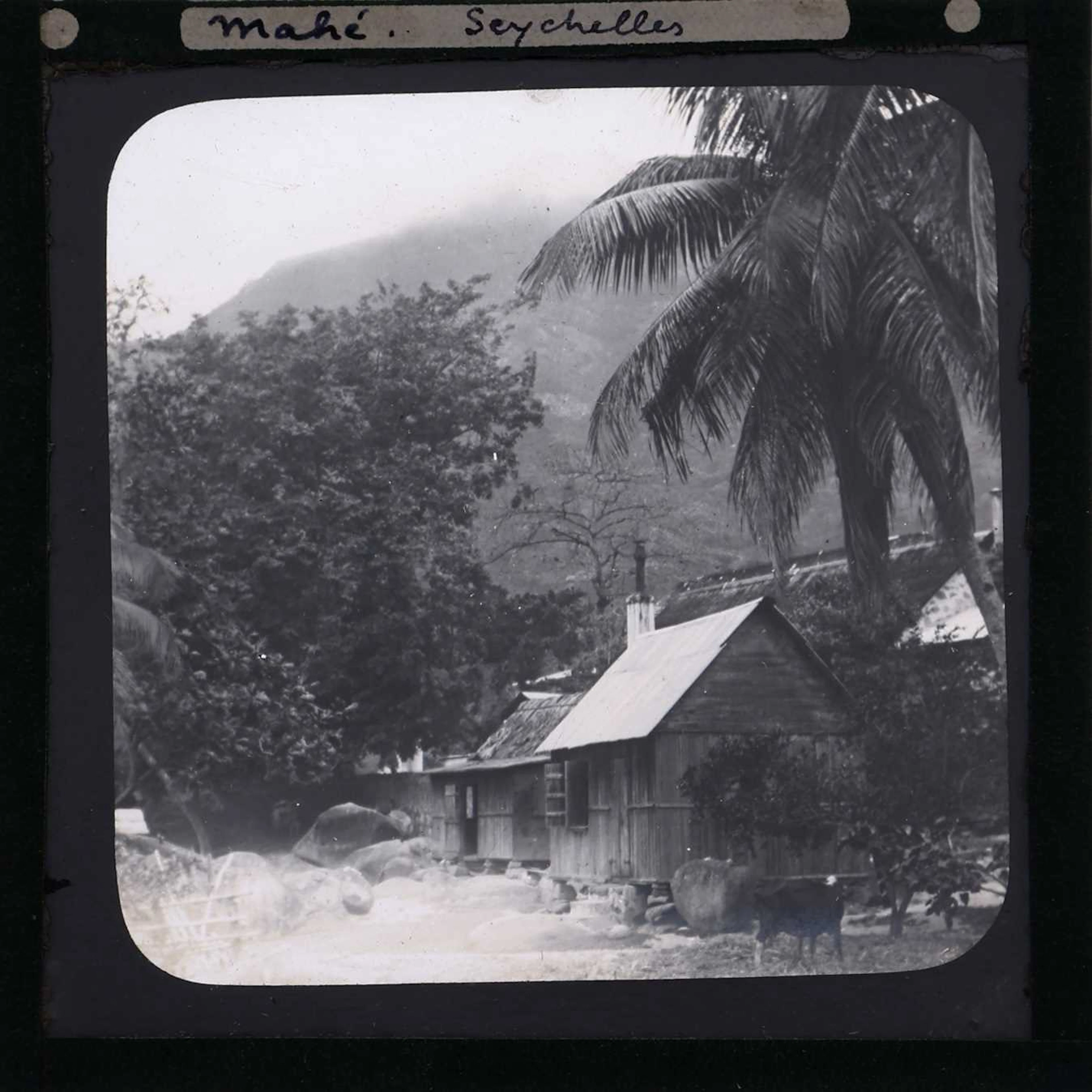 Masse, Henri, India, Ceylon & Seychelles, Magic Lantern Slides