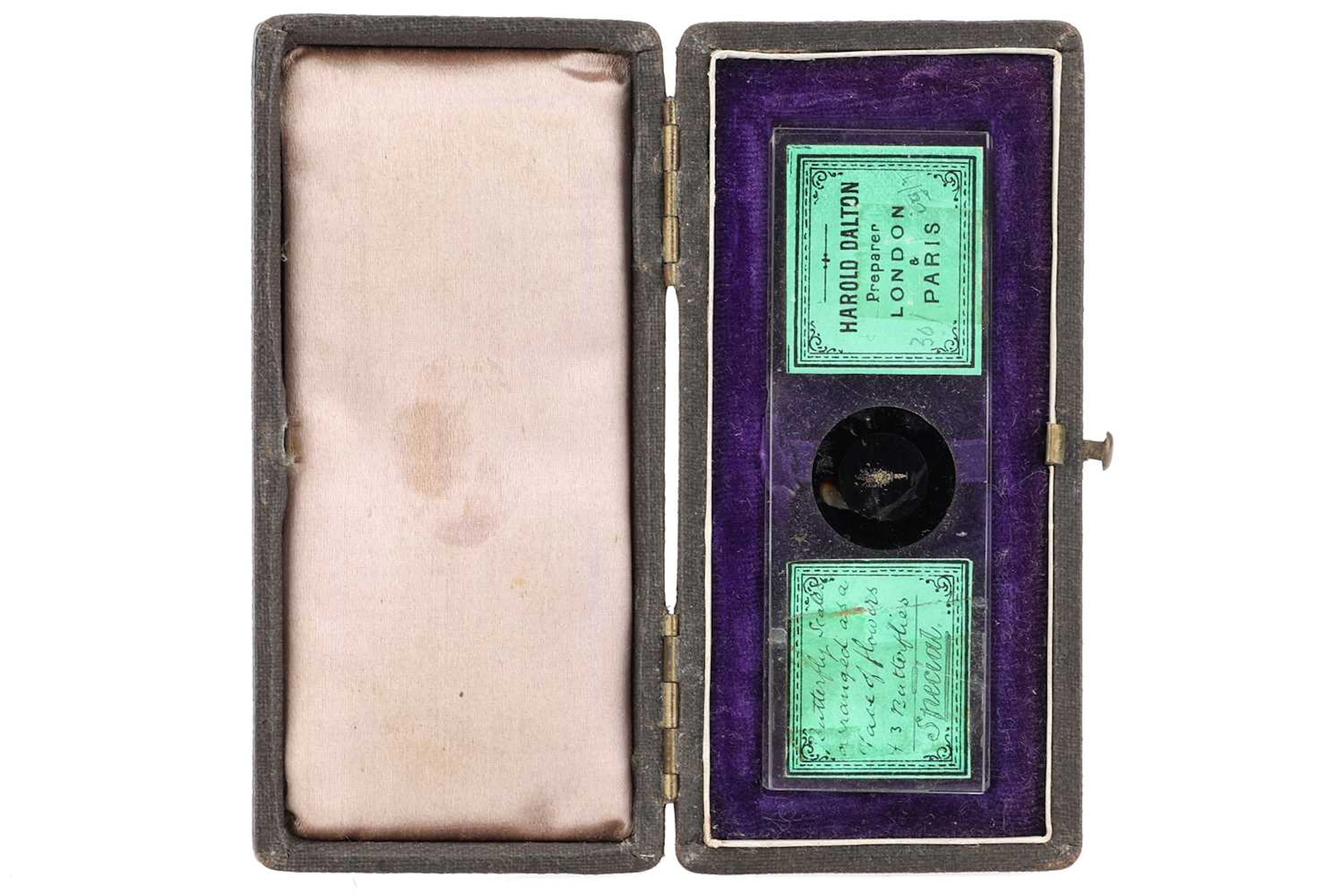 A Most Impressive Microscope Exhibition Slide of a Vase of Flowers
