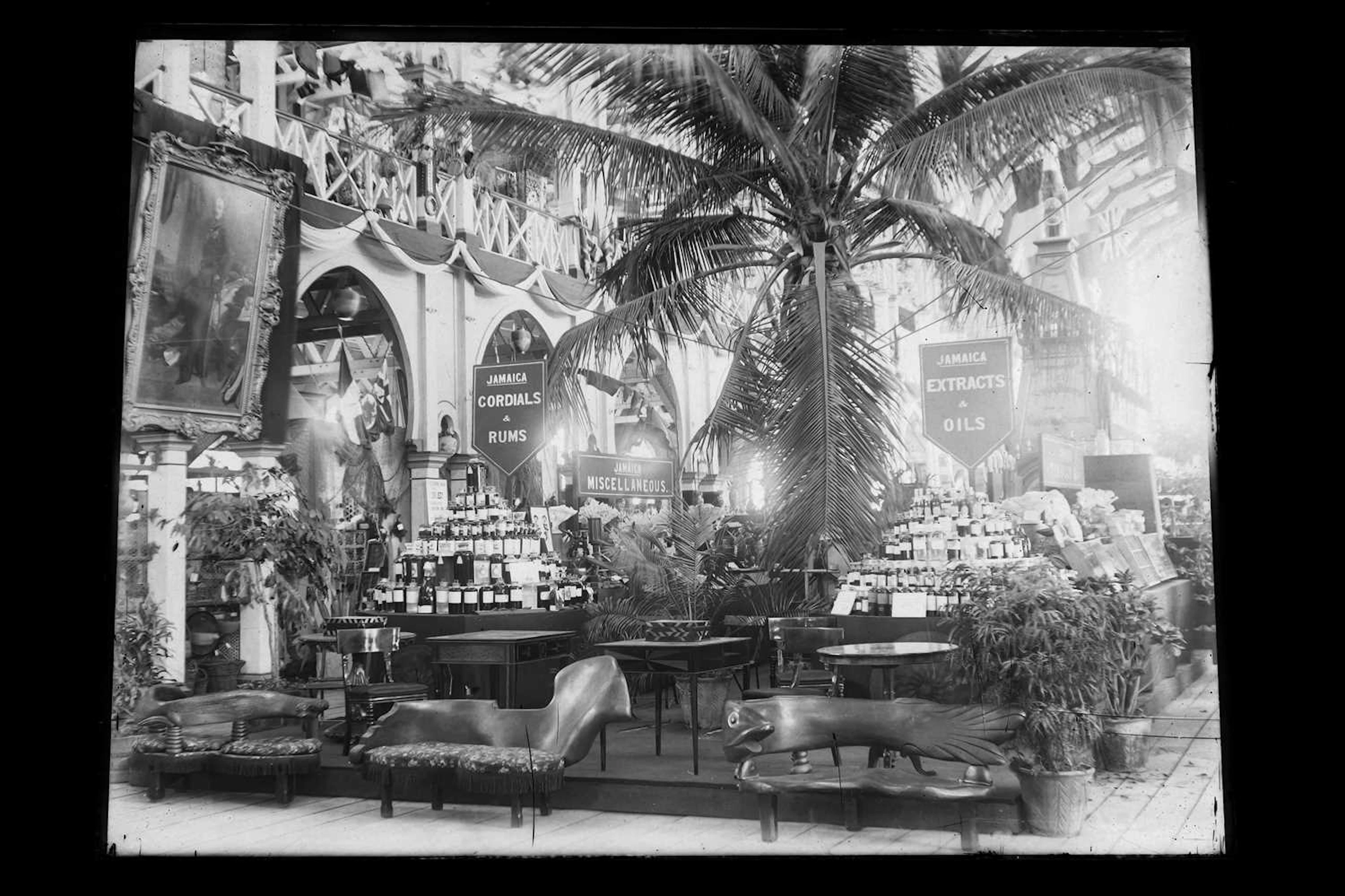 International Exhibition, Jamaica, 1891, Unique Archive of Photographs