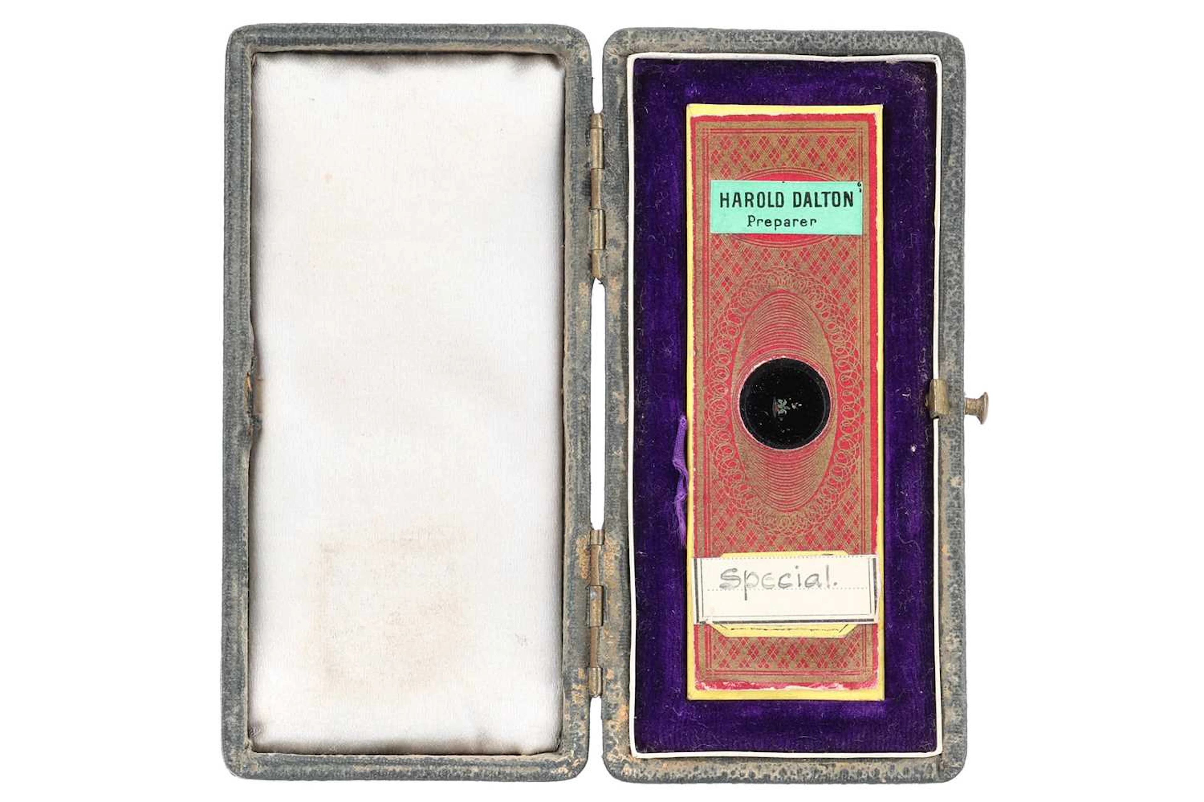 A Microscope Exhibition Slide of a Plant Butterfly & Birds