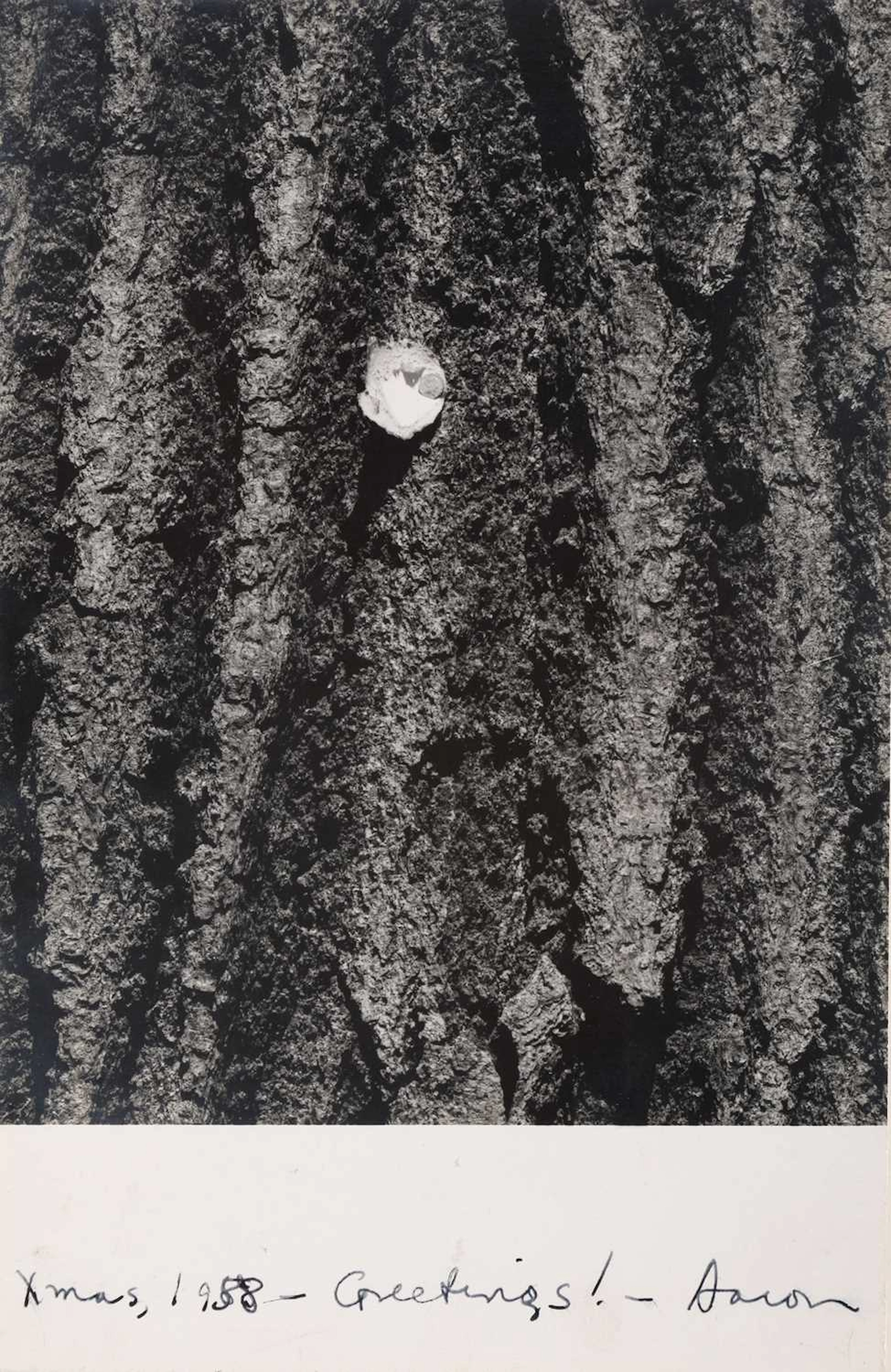 Aaron Siskind