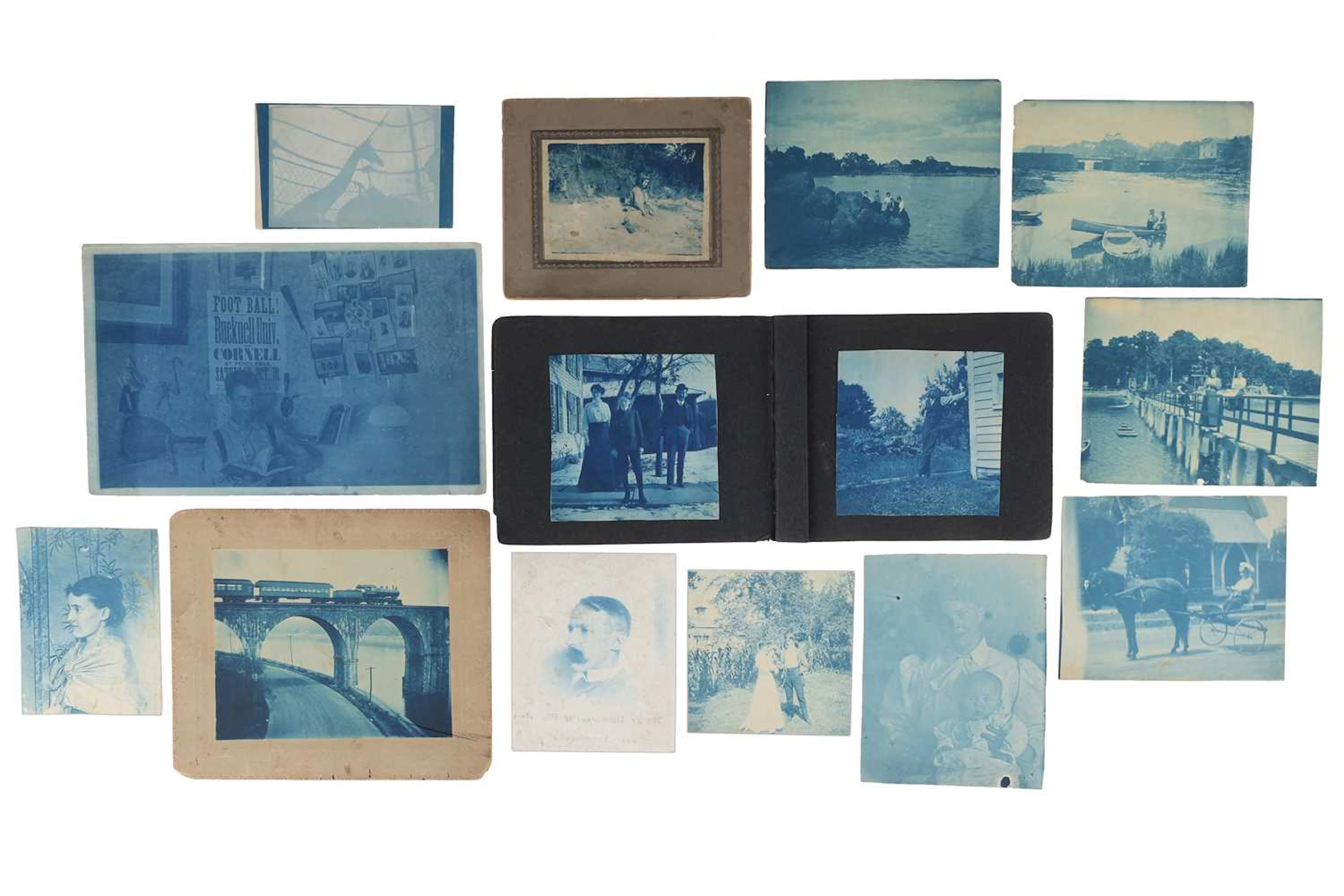 Cyanotypes