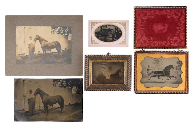 Ambrotypes with Horse Interest