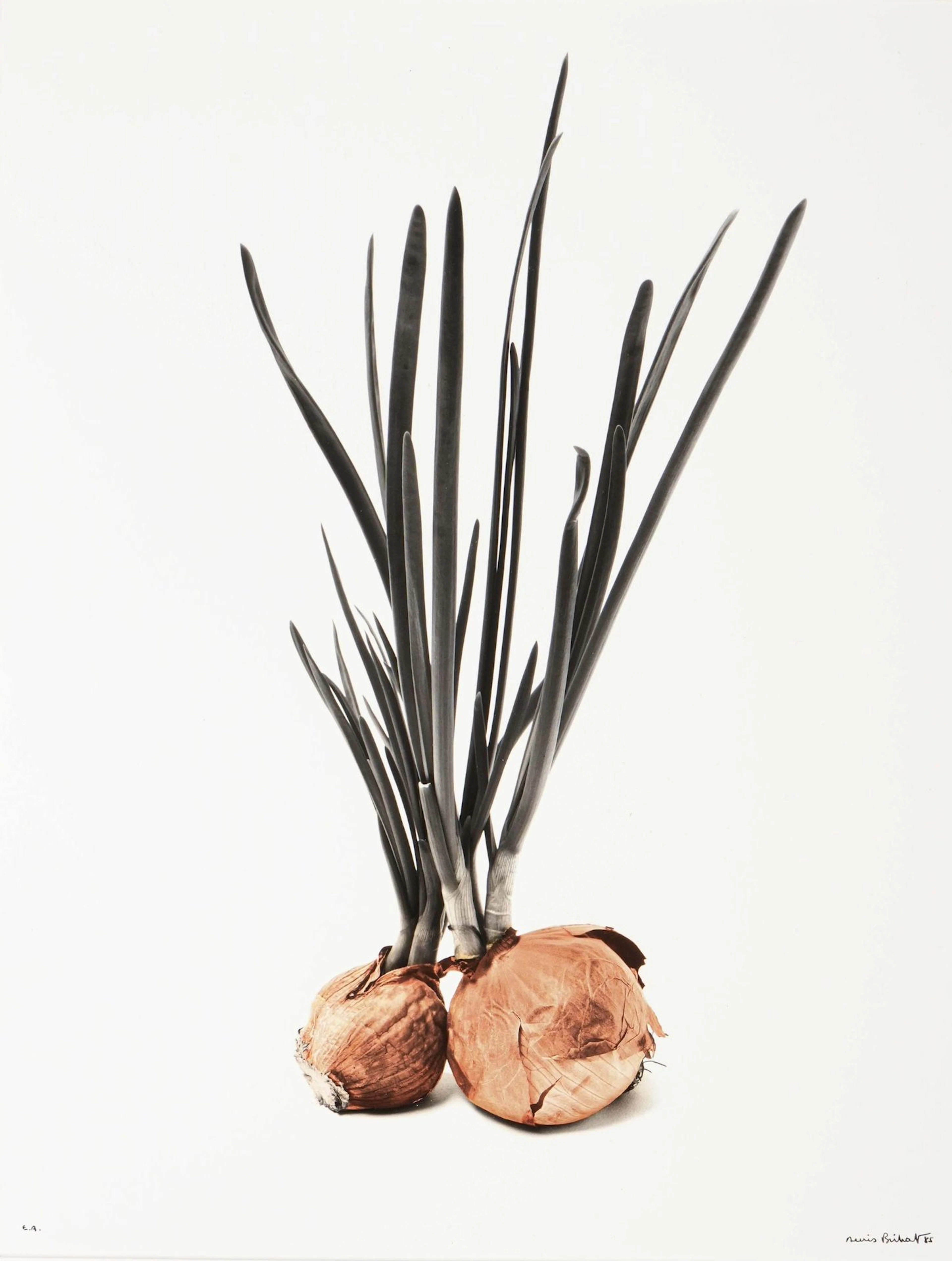 Denis BRIHAT, né en 1928. - Lot 441