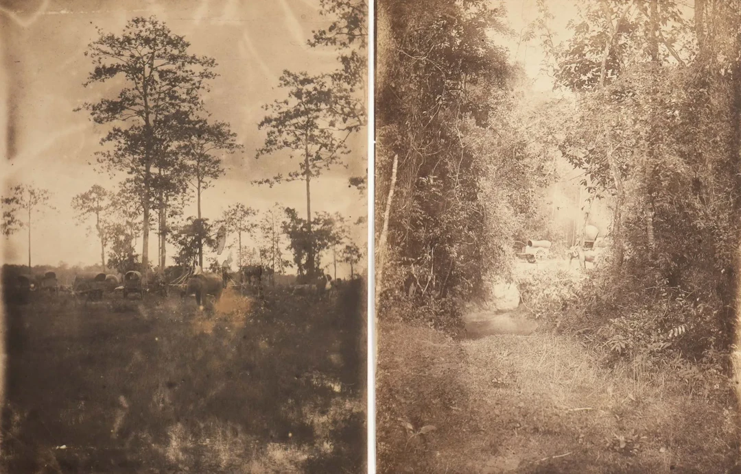 ANONYME - Lot 108