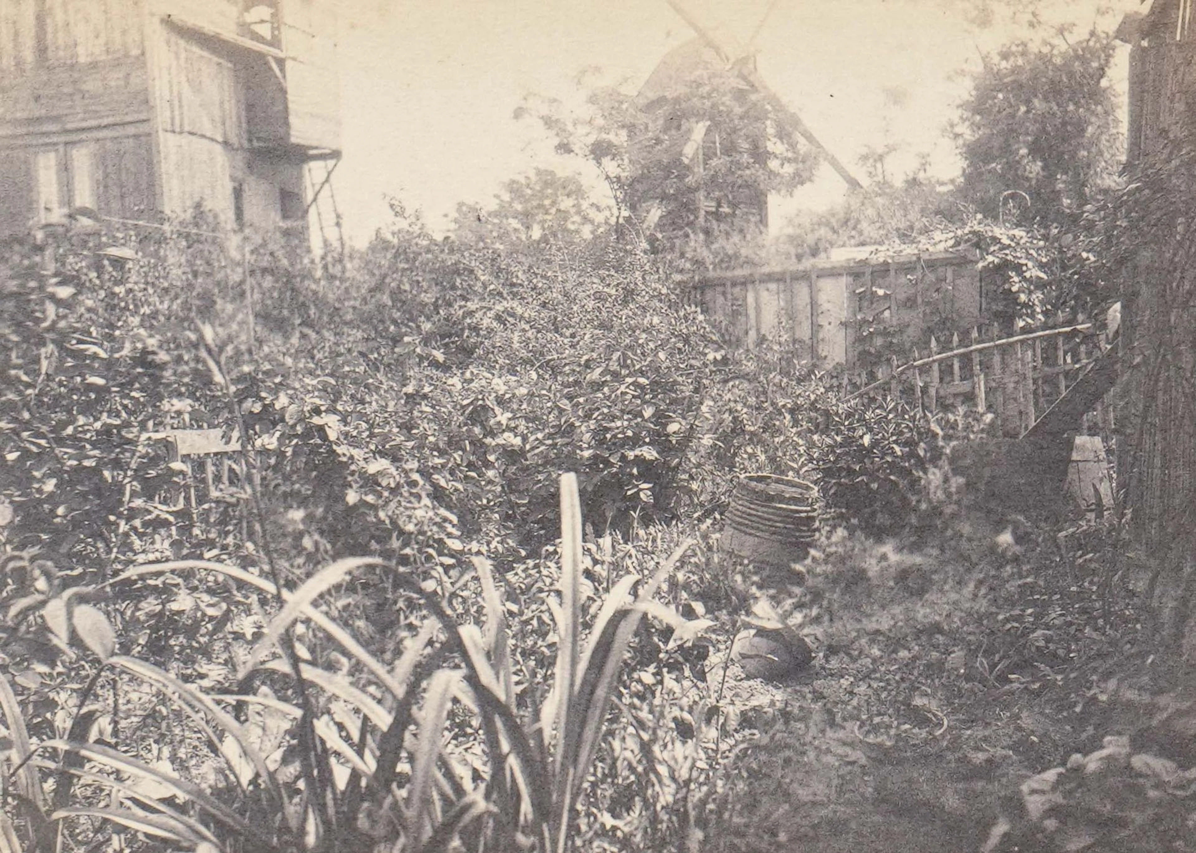 PHOTOGRAPHE FRANÇAIS NON IDENTIFIE - Lot 185