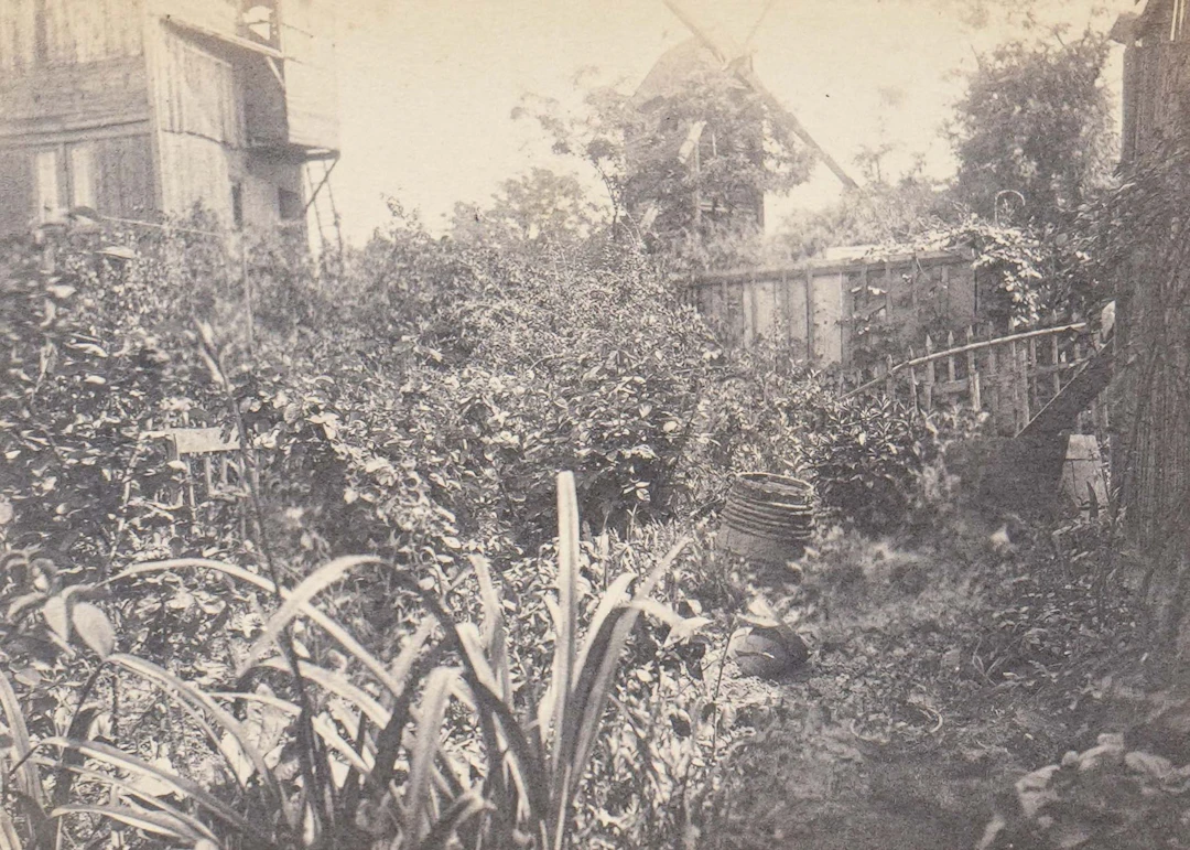 PHOTOGRAPHE FRANÇAIS NON IDENTIFIE - Lot 185