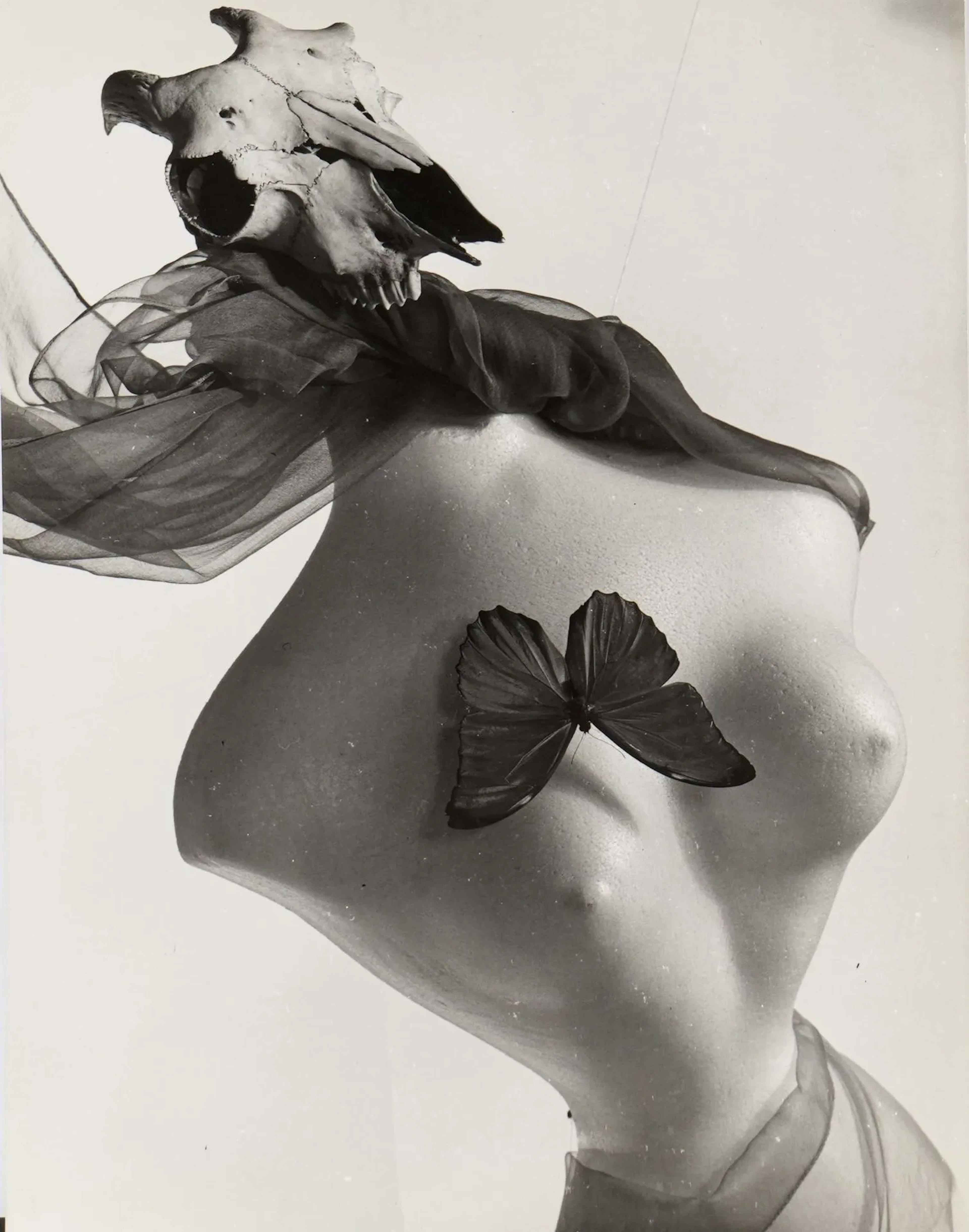 Jean DIEUZAIDE (1921-2003) - Lot 434
