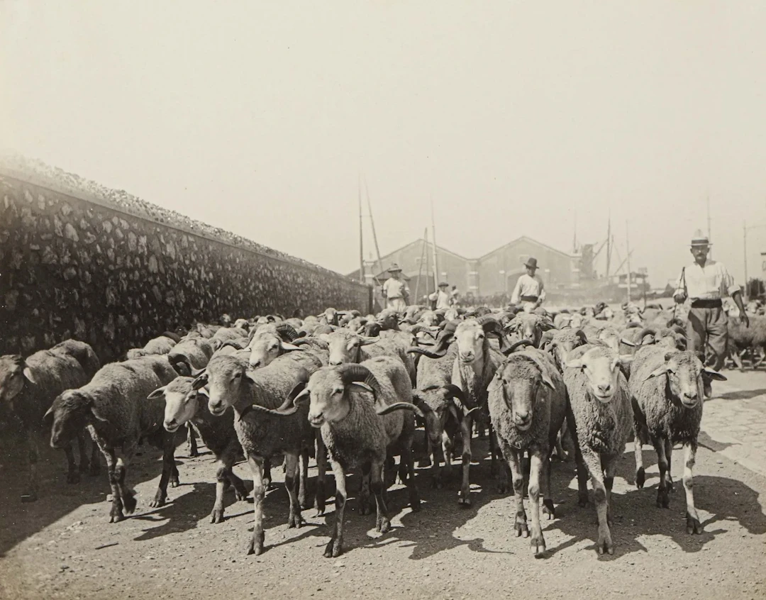 JEAN PAULANASTAY (1857-1935) - Lot 272