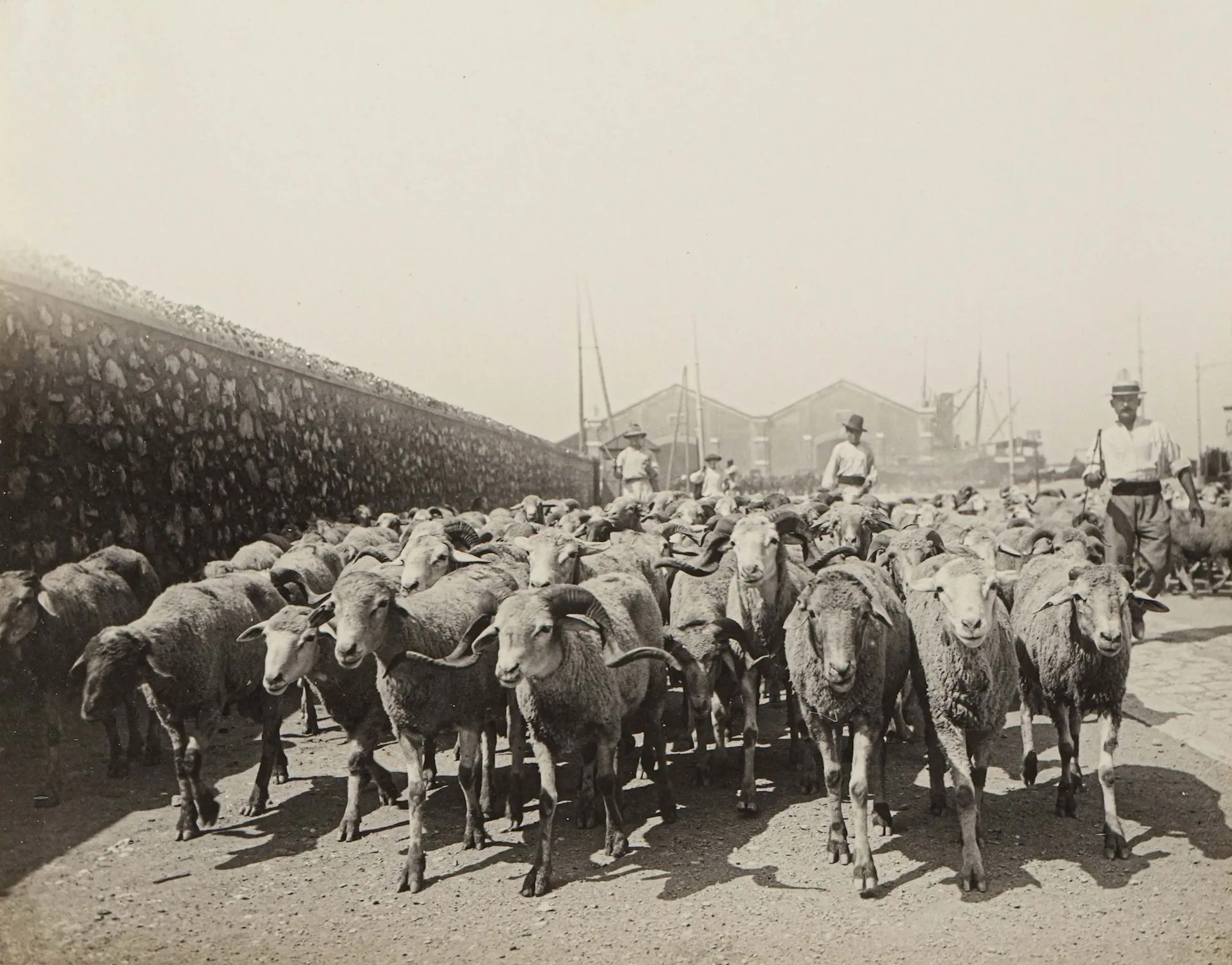 JEAN PAULANASTAY (1857-1935) - Lot 272