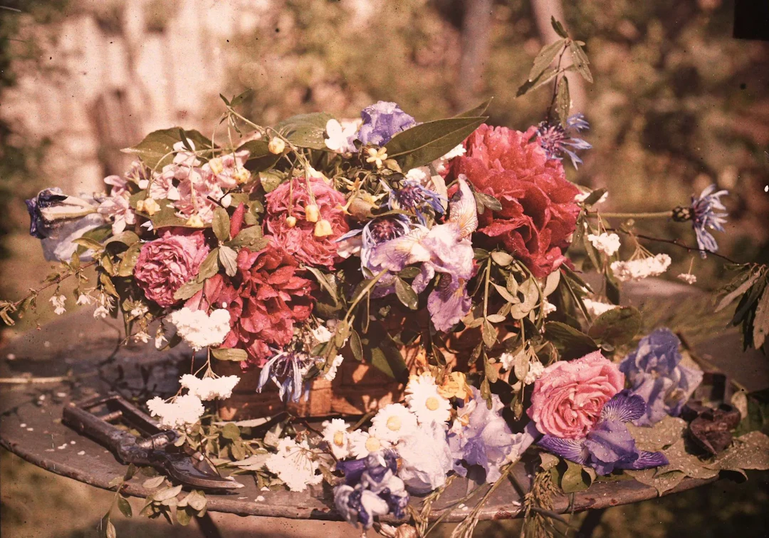 AUTOCHROMISTE FRANÇAIS ANONYME - Lot 36