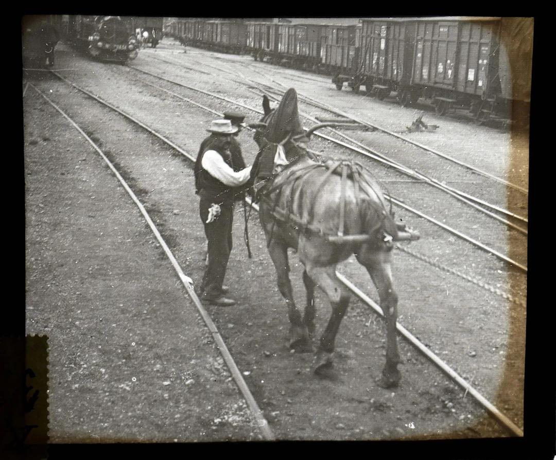 ANONYME - Lot 104