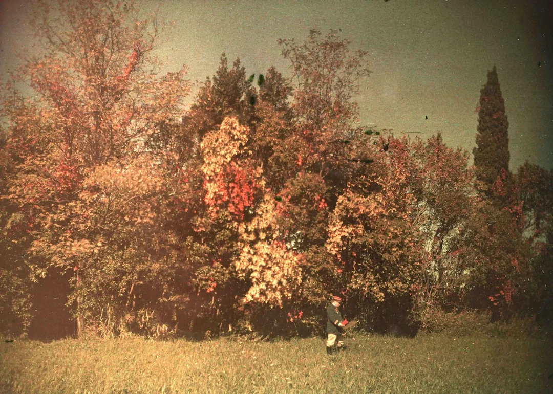 AUTOCHROMISTE FRANÇAIS ANONYME - Lot 37