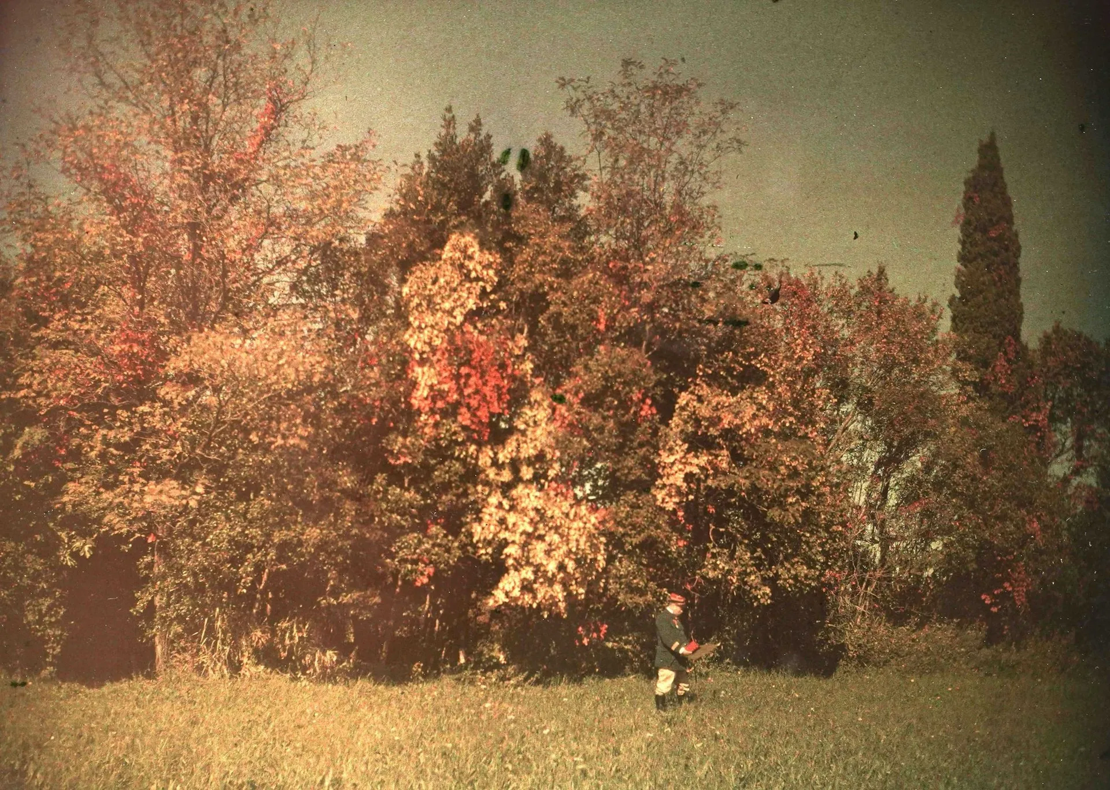 AUTOCHROMISTE FRANÇAIS ANONYME - Lot 37