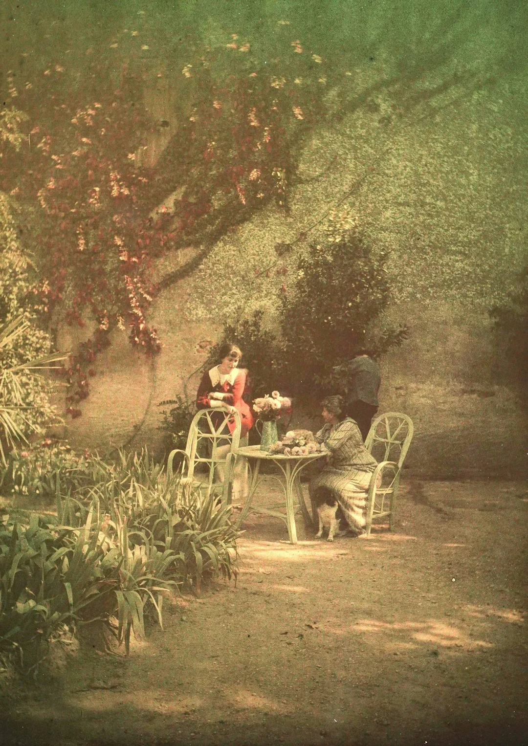 ANONYME - Lot 32