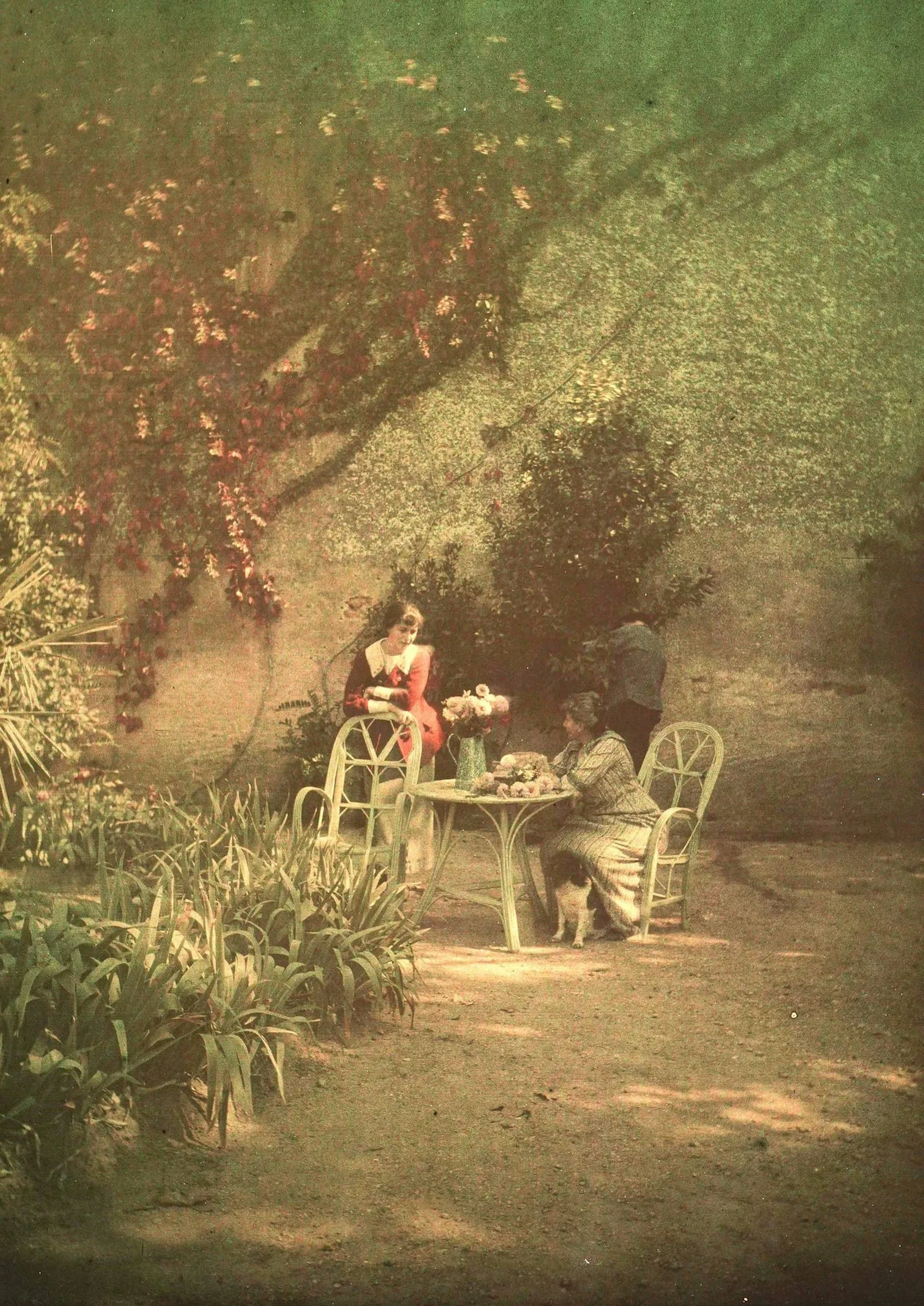 ANONYME - Lot 32