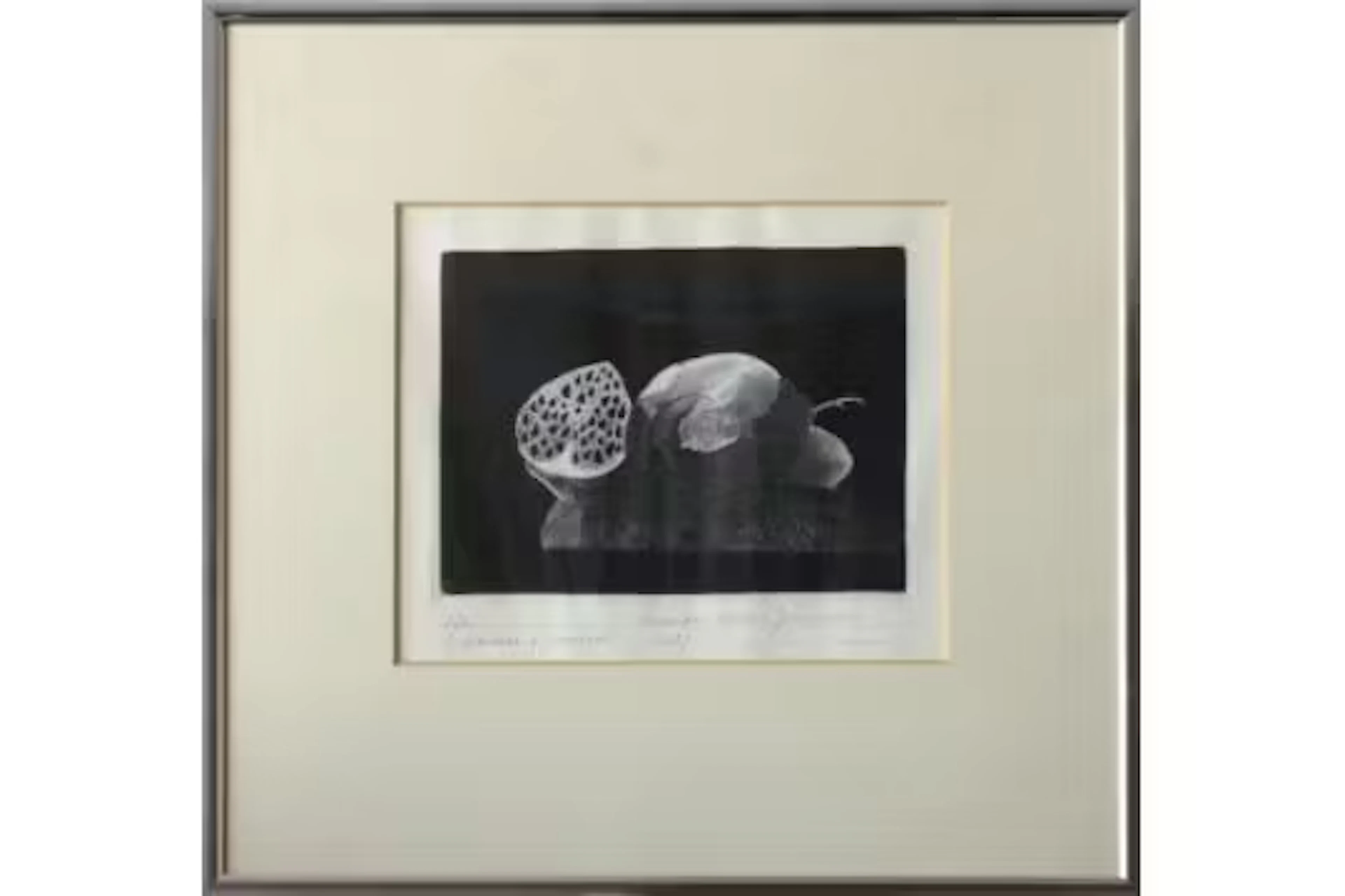 Evandro Carlos Jardim (Brazilian, b.1935), A Brazilian Fruit, etching