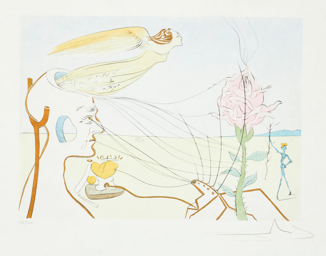 - Salvador Dalí