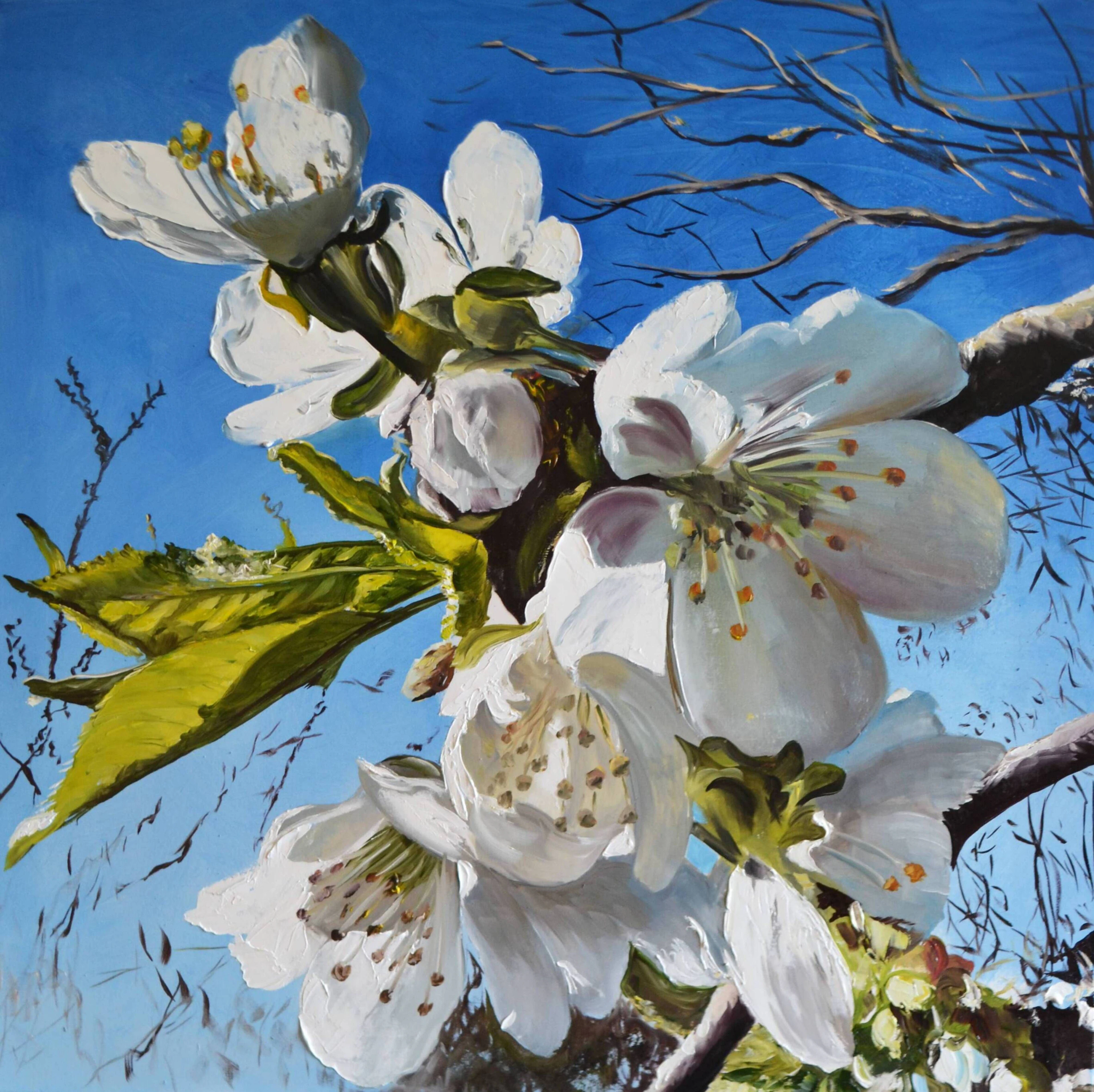 Pure White - Valeria Radzievska