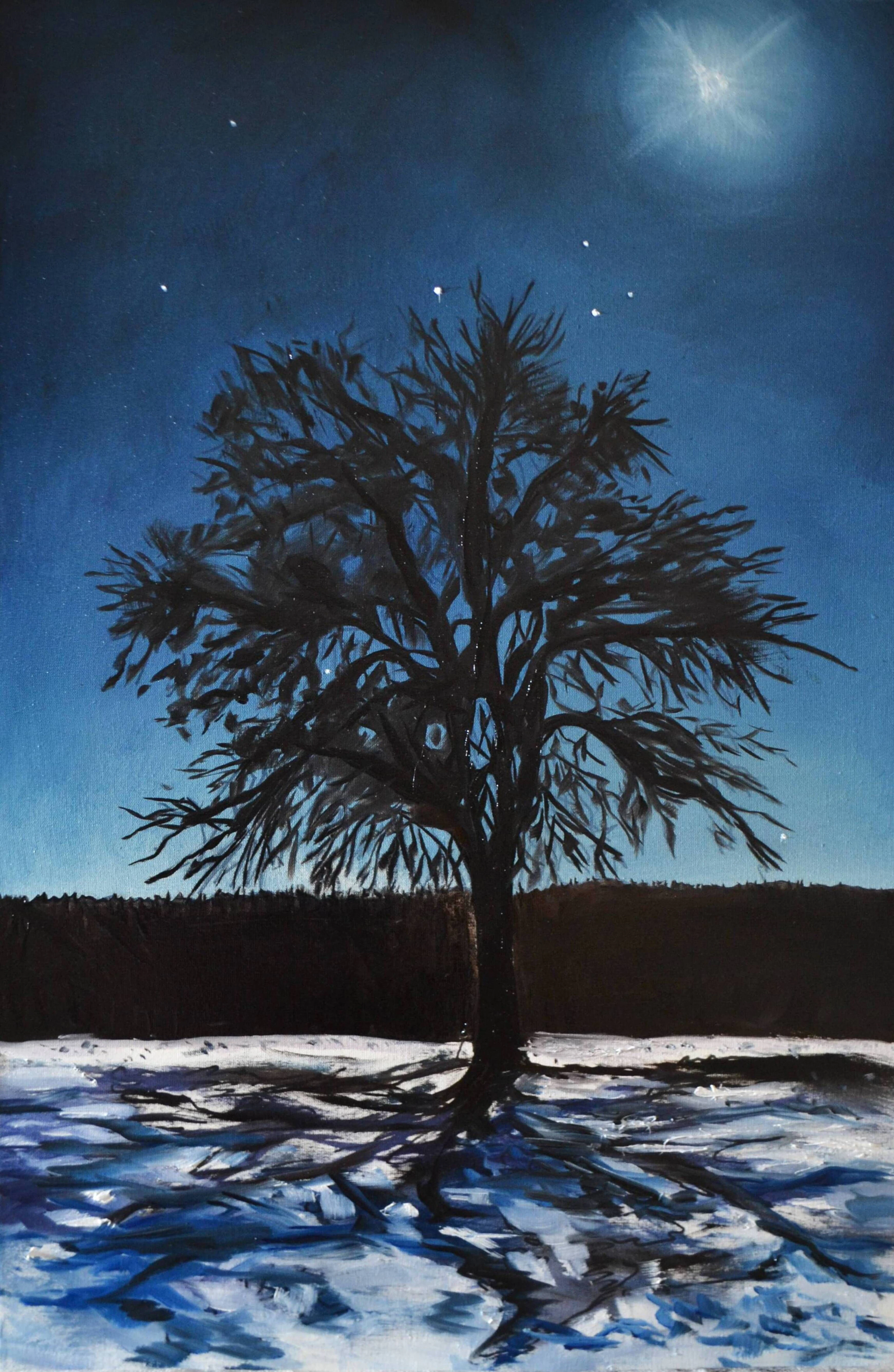 Winter Moon - Valeria Radzievska