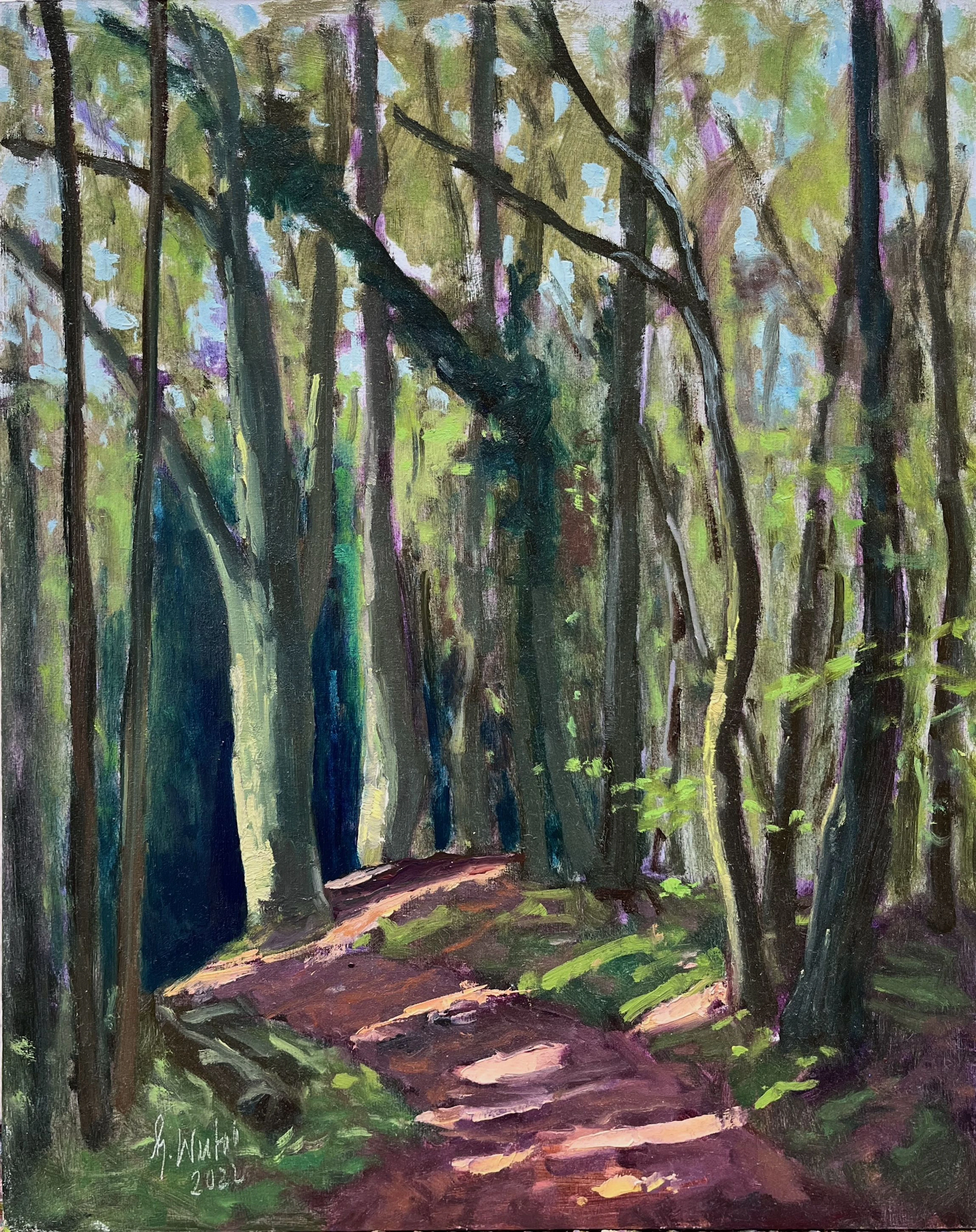Forest Path Stemweder Hills - Gary Westall