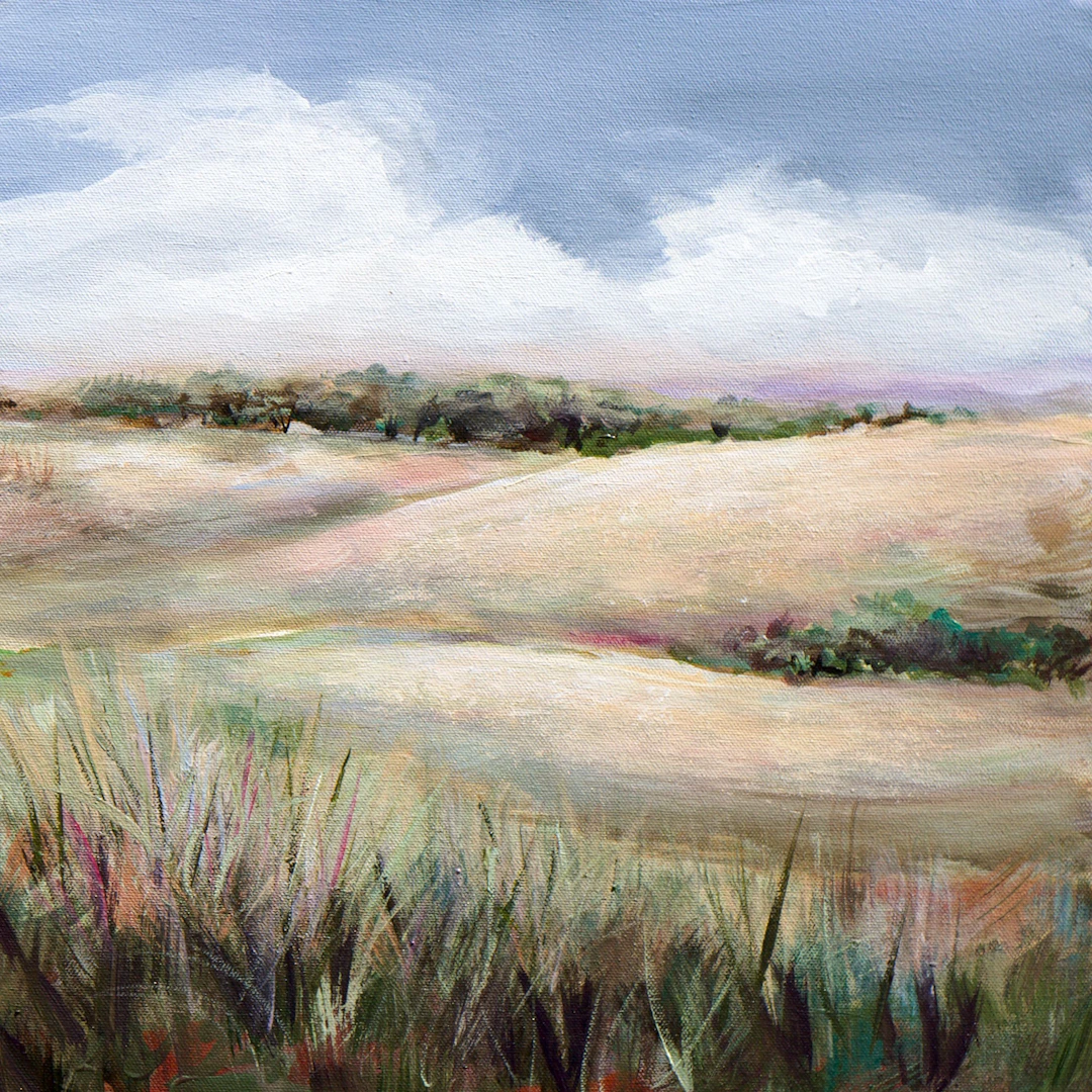 Summer in the Foothills - Karen Hale