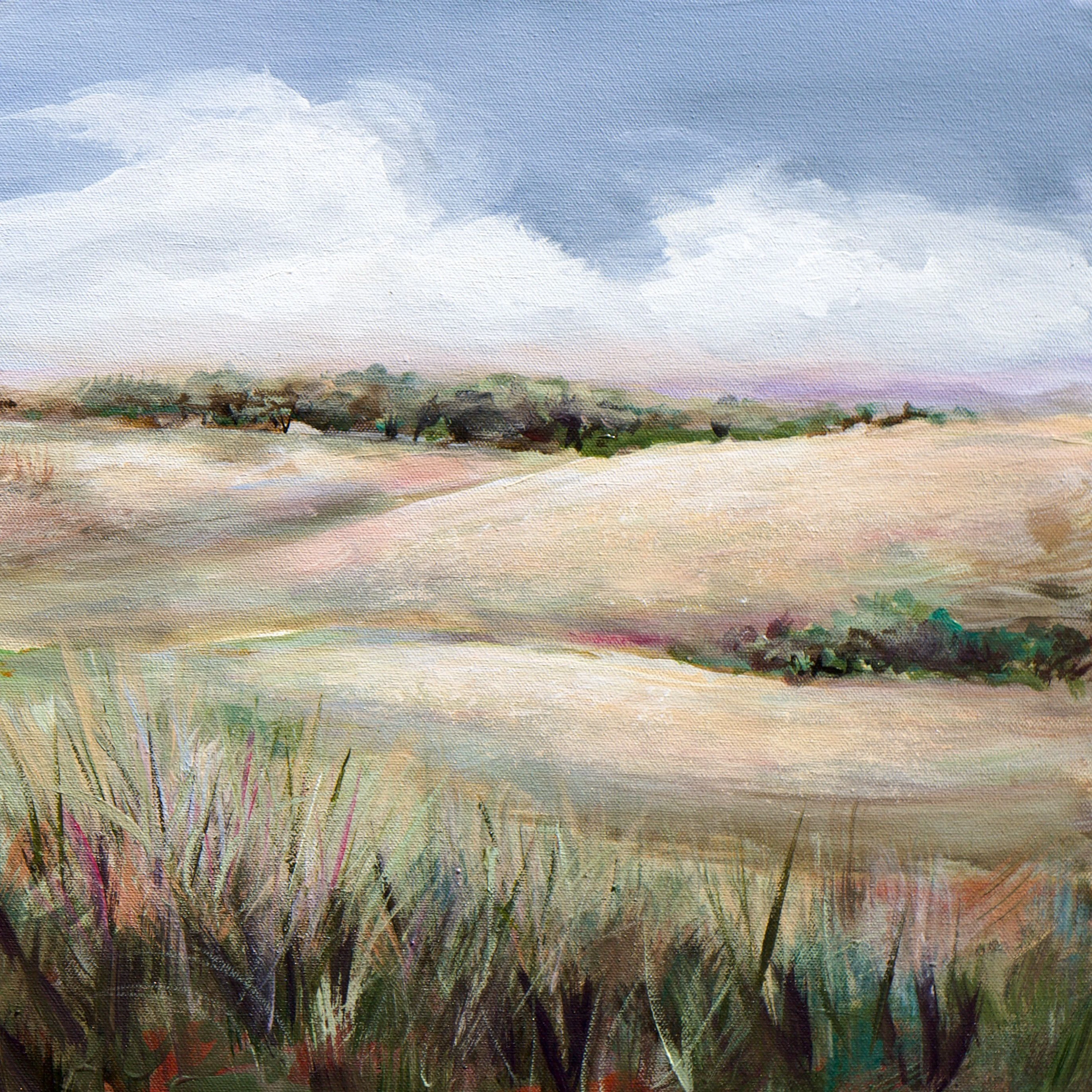 Summer in the Foothills - Karen Hale