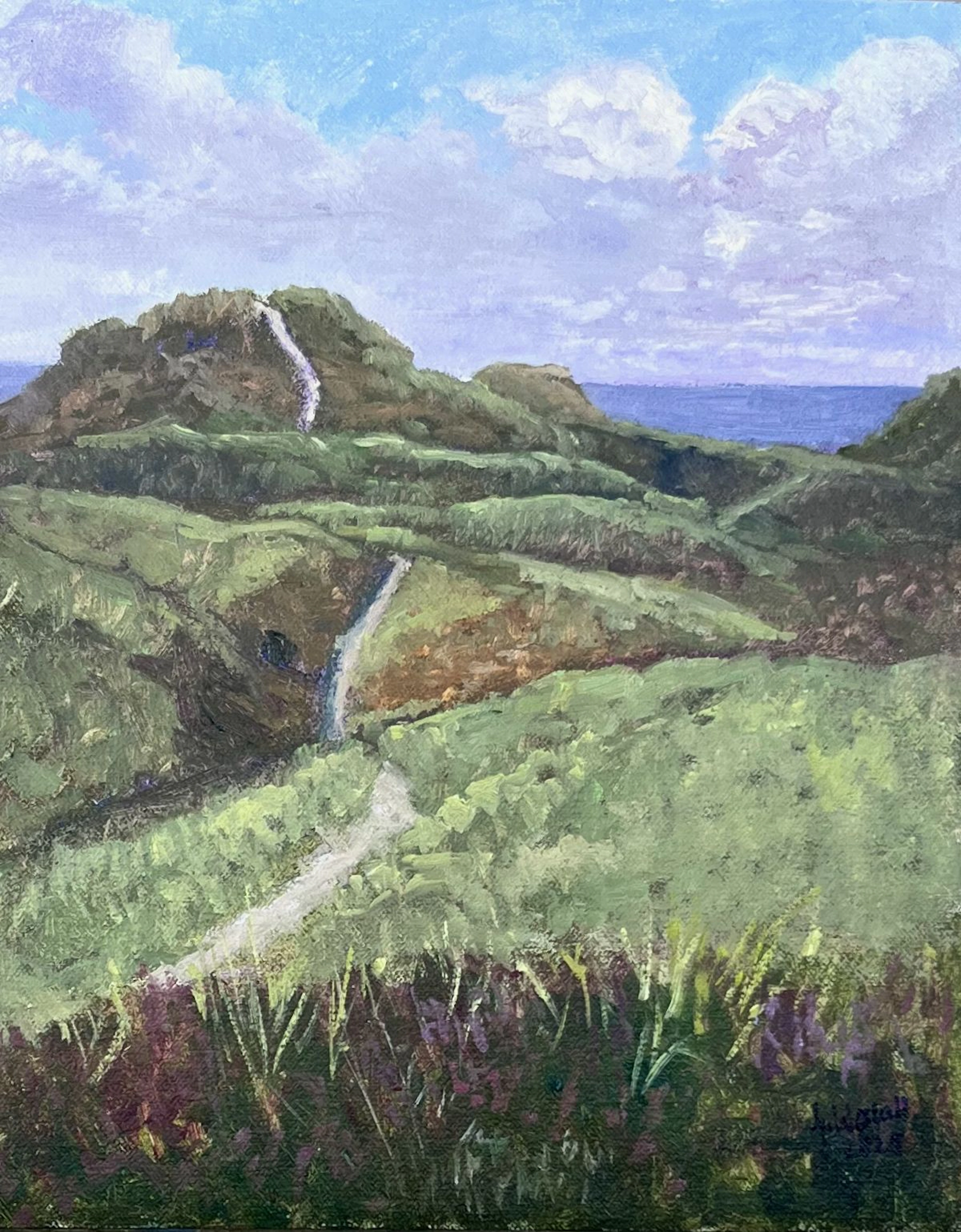 Paths to the sea - Gary Westall
