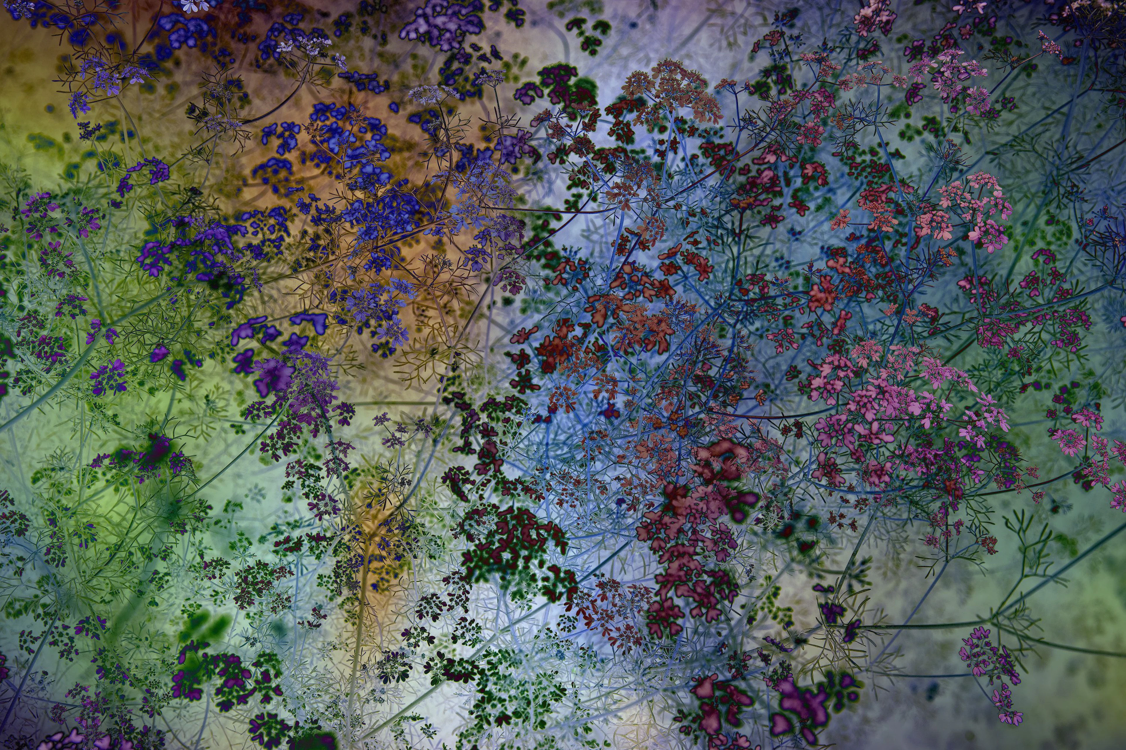 Shades of Memory I - Viet Ha Tran