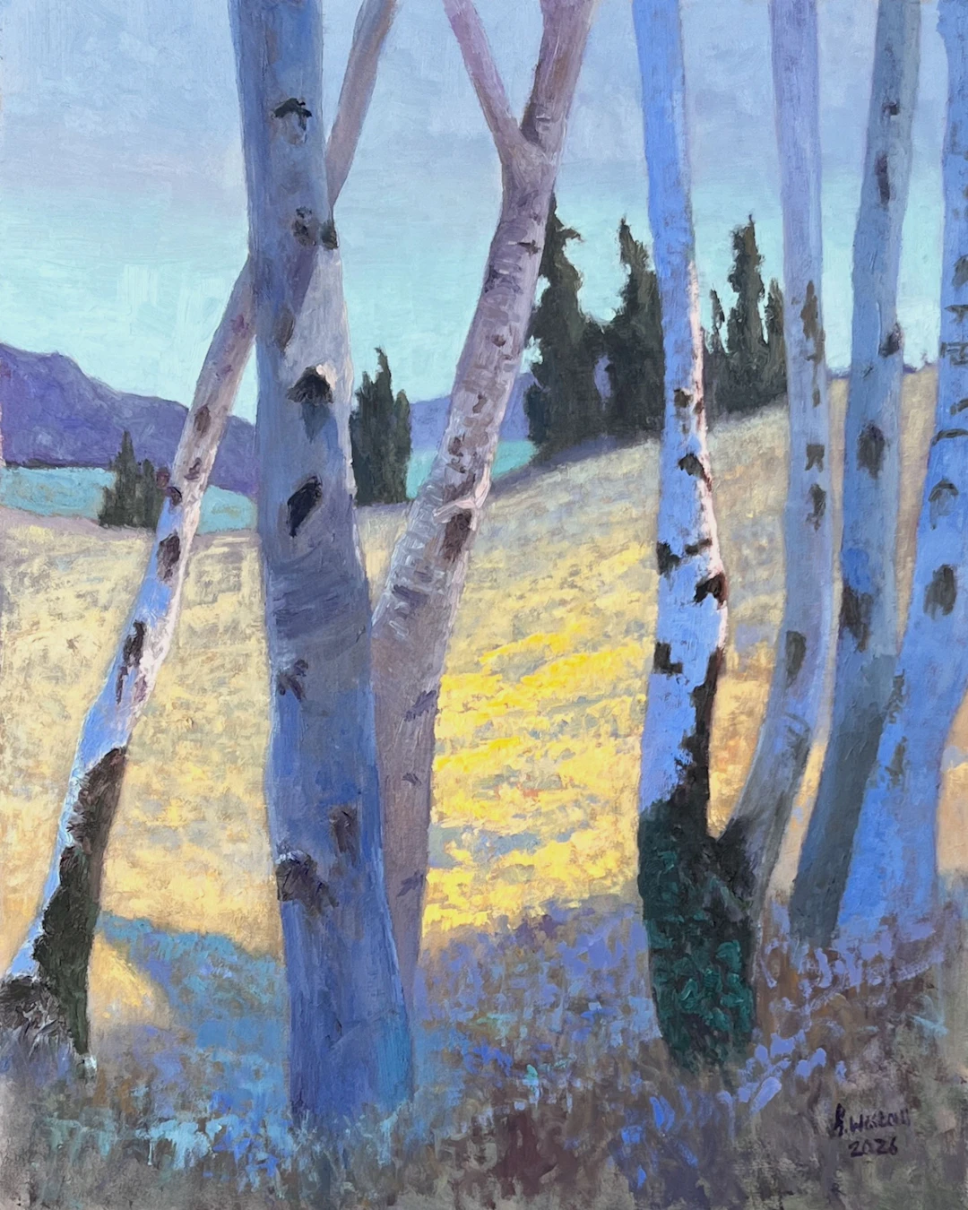 Through the Blue into the Light - Gary Westall